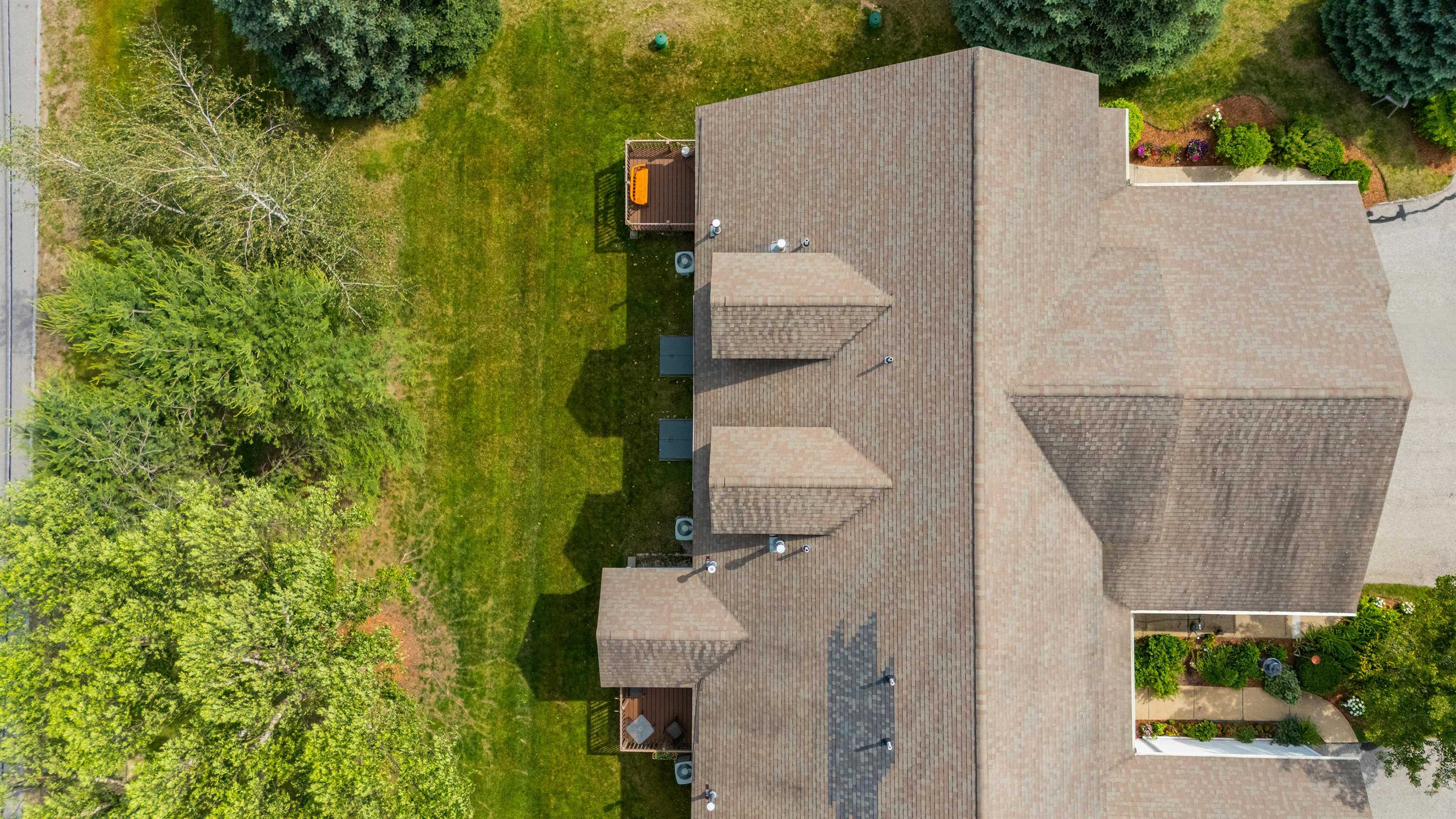 34 Mammoth Road 1