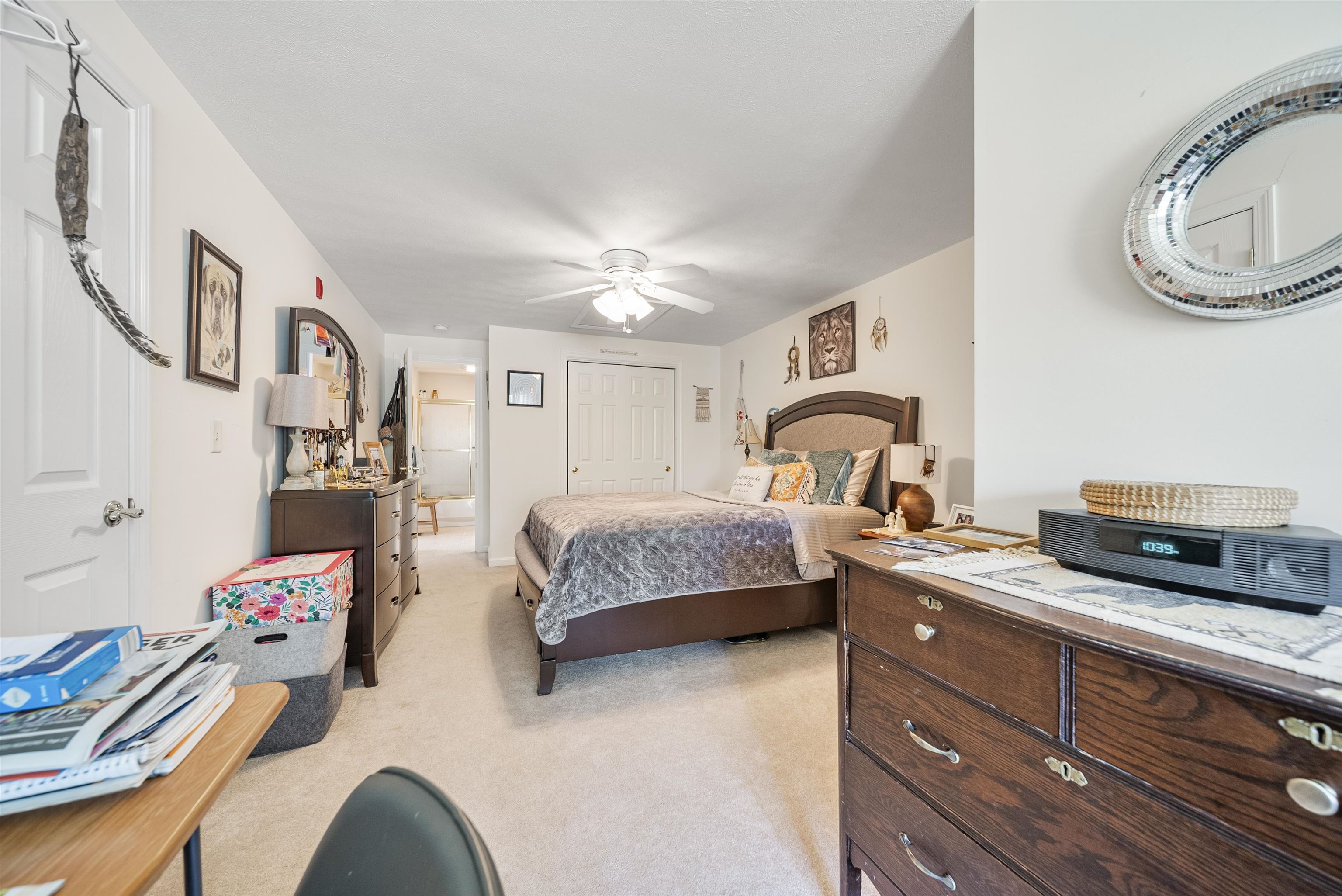 34 Mammoth Road 1