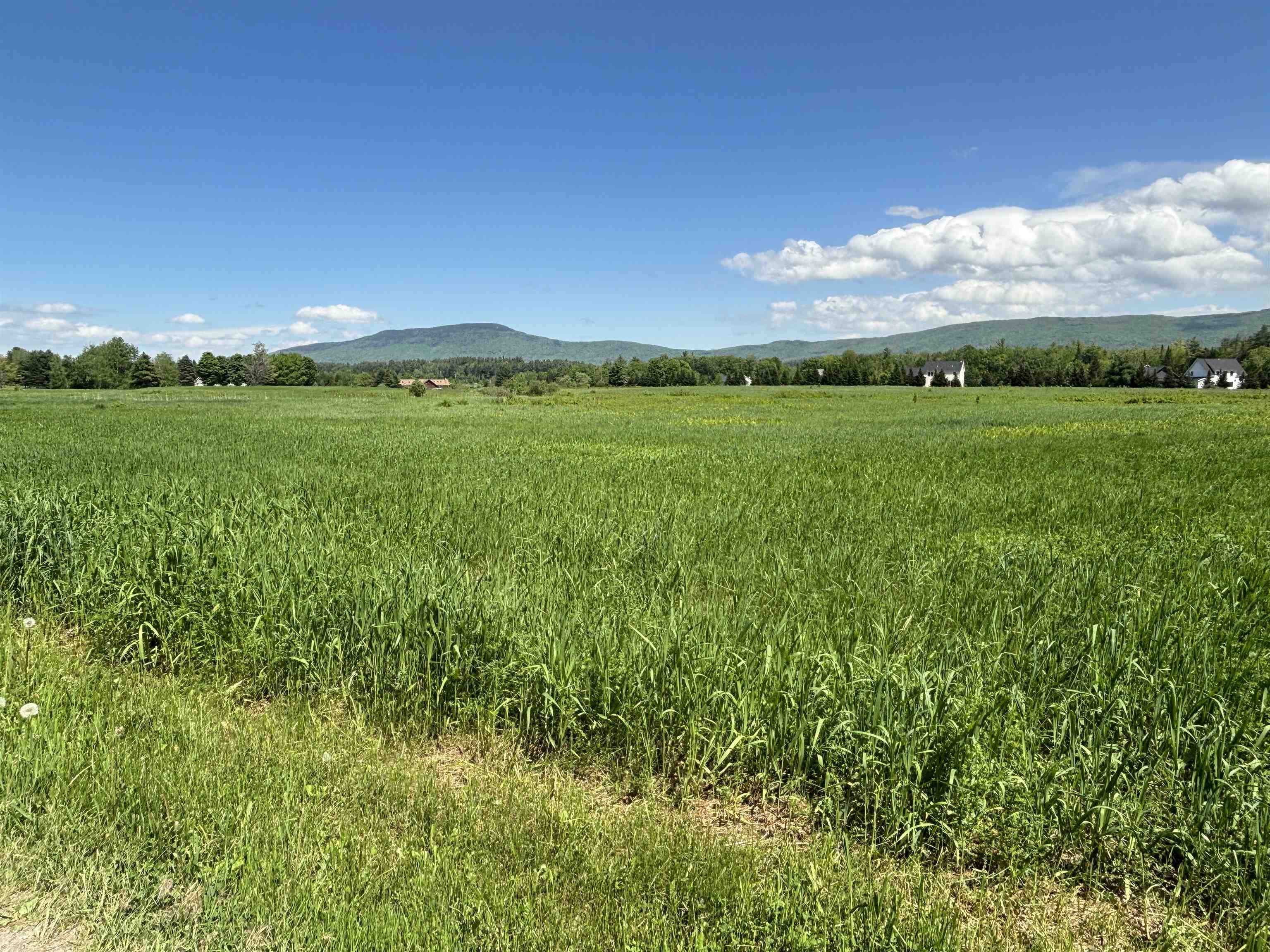 Lot #4 Lawrence Road 4