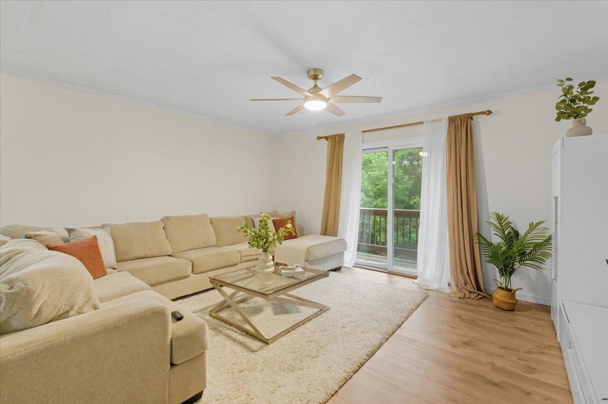 701 Dorset Street C15