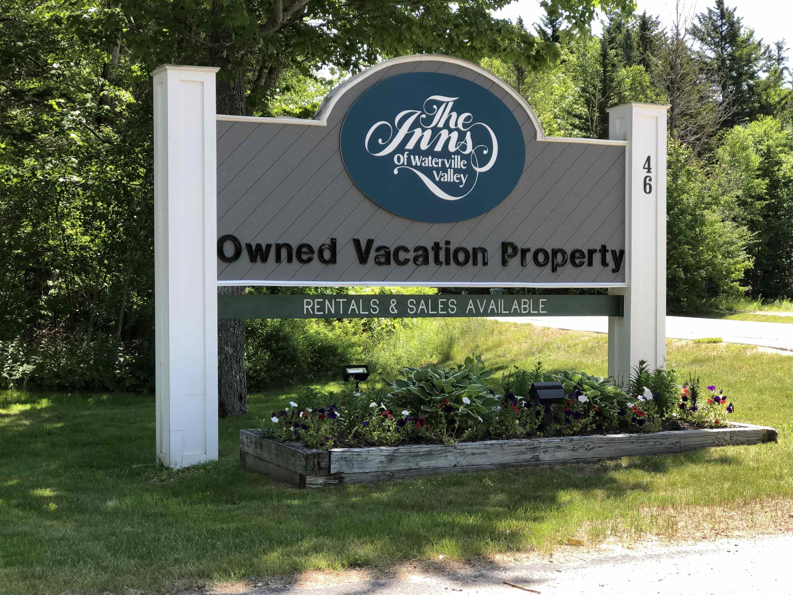 46 Packards Road 101- Week 01