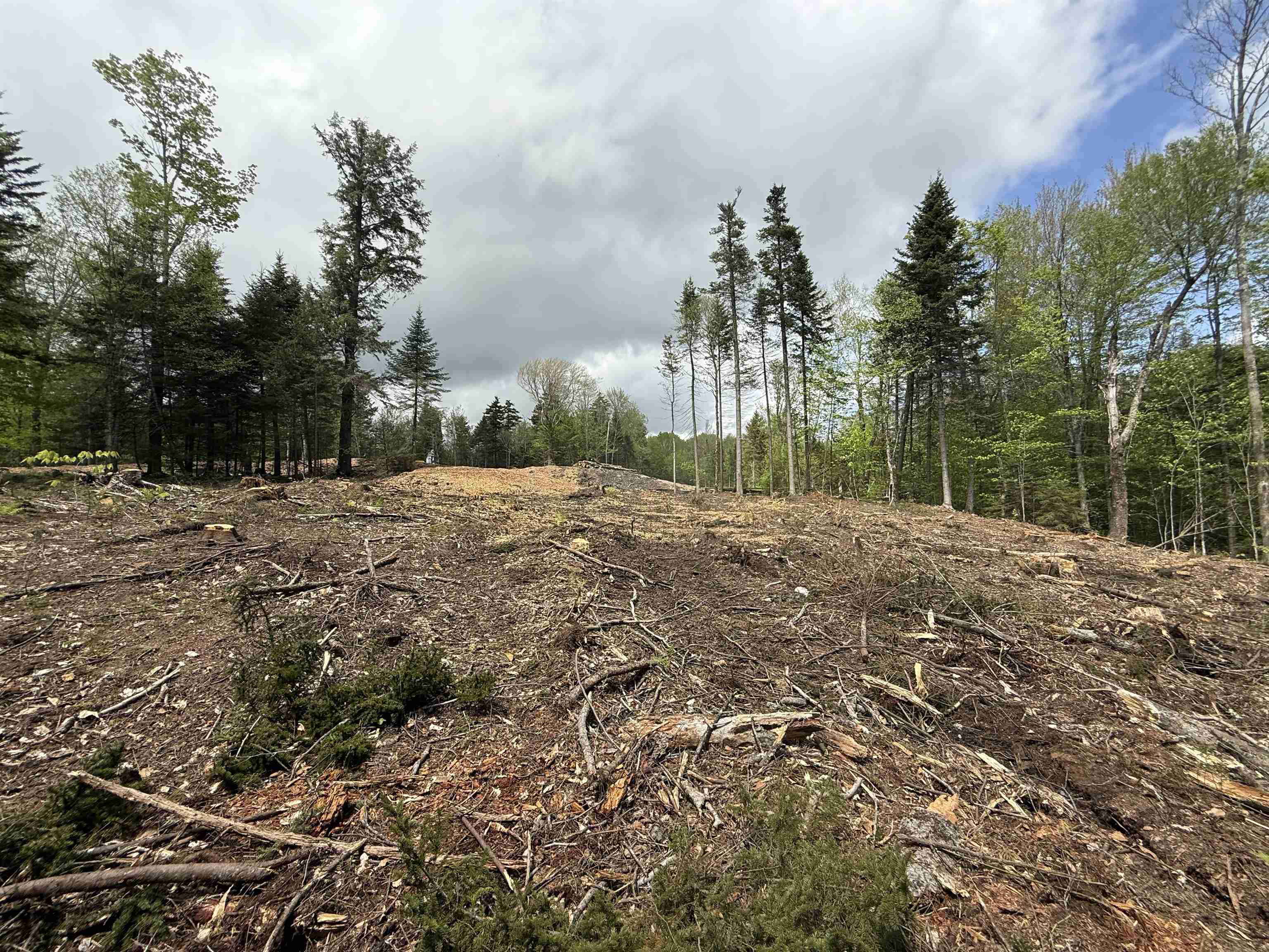 Lot 5 Old Mill Crossing