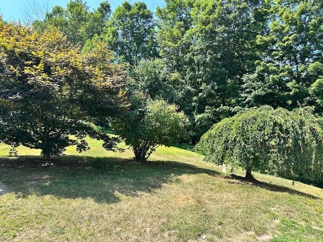 14 Deer Lane