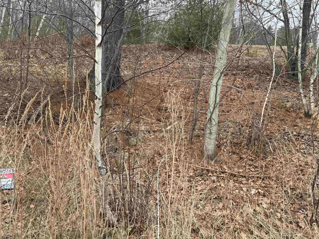 Photo of Barnstead North Road #4, Barnstead, NH 03225 (MLS # 5089665)