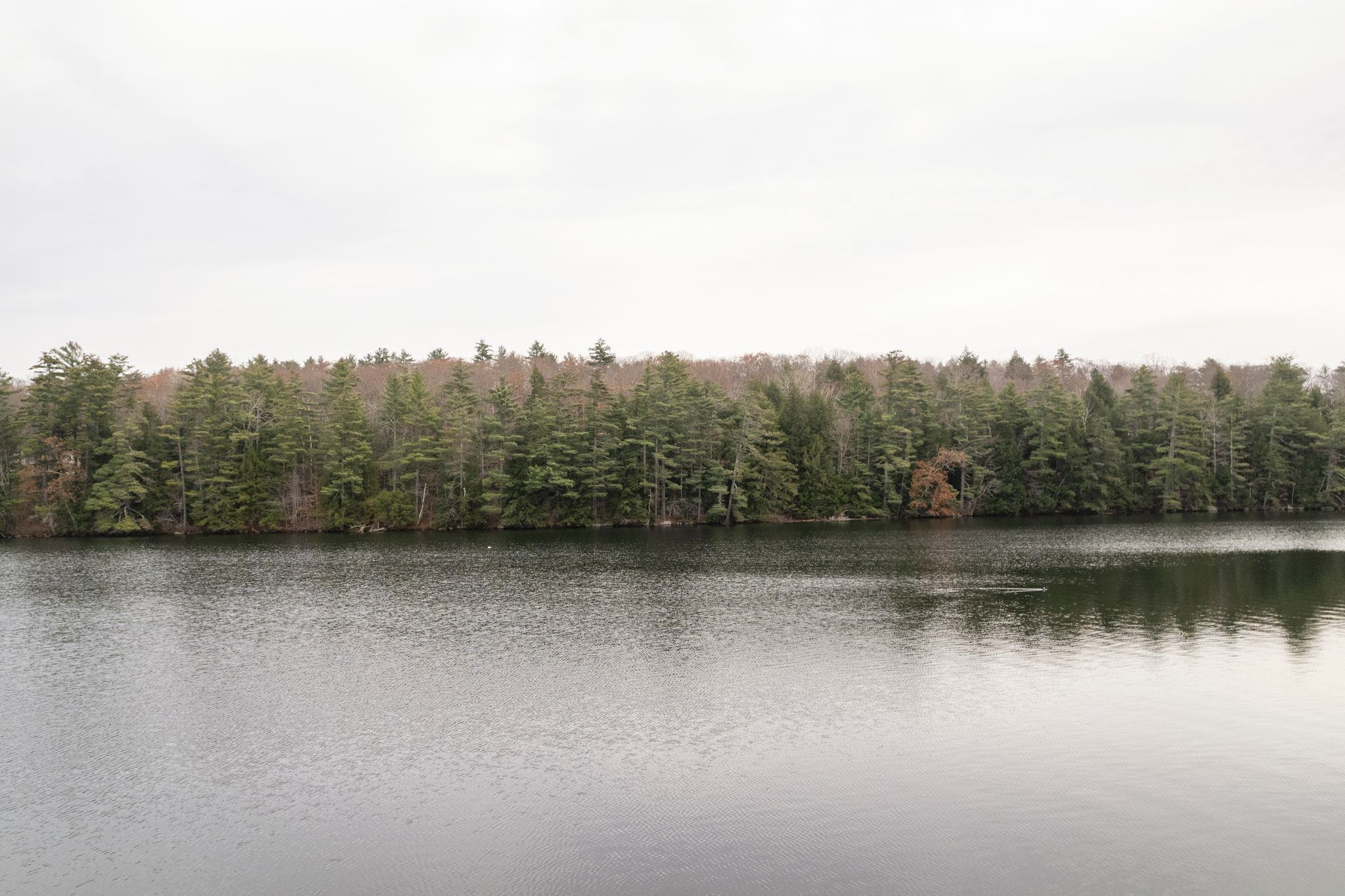 Canaan, New Hampshire 03741, United States, ,Land,Active,244382