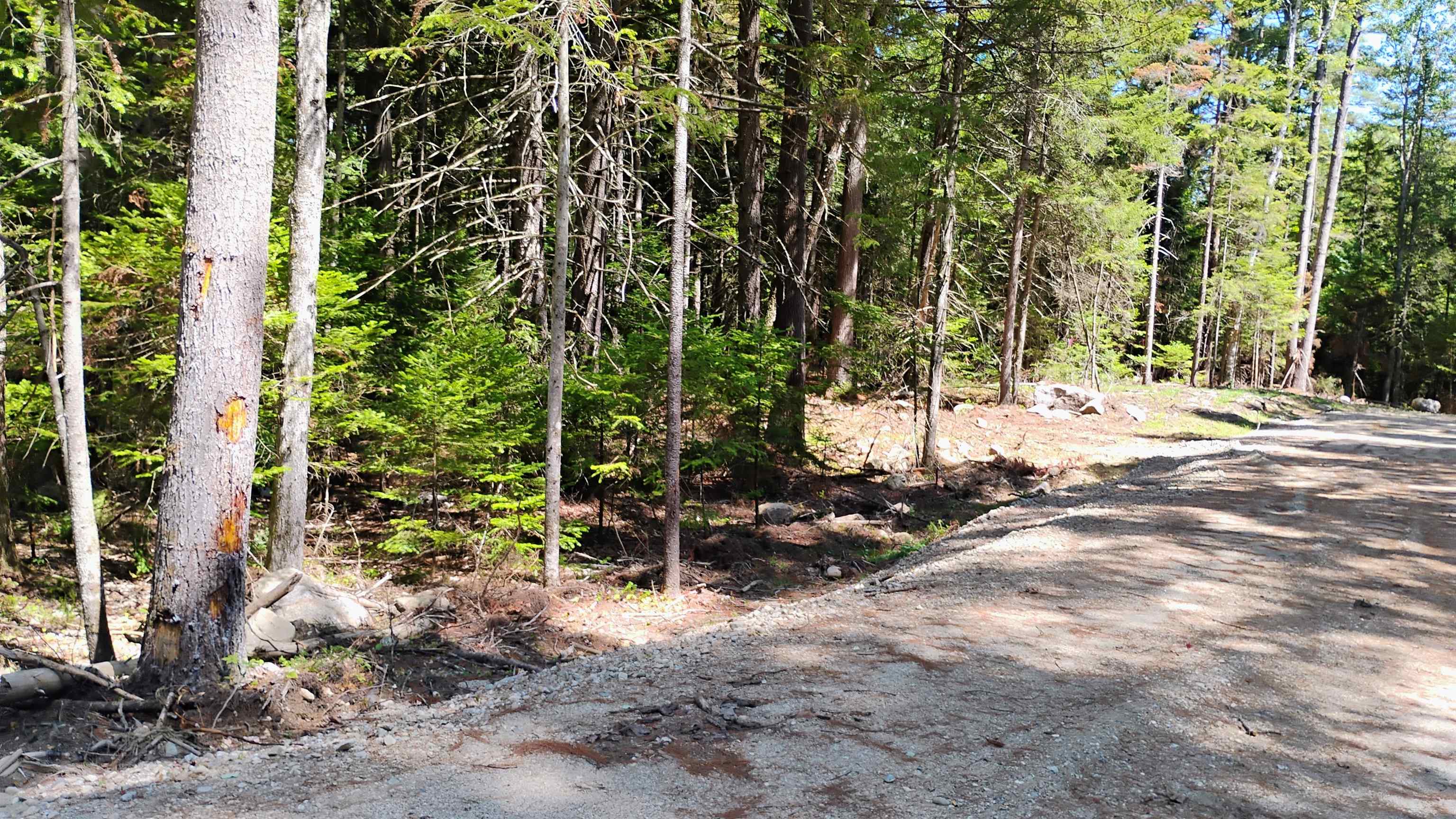 Photo 1 of 9 — Lot 2 NH Route 4A, Grafton, NH 03240
