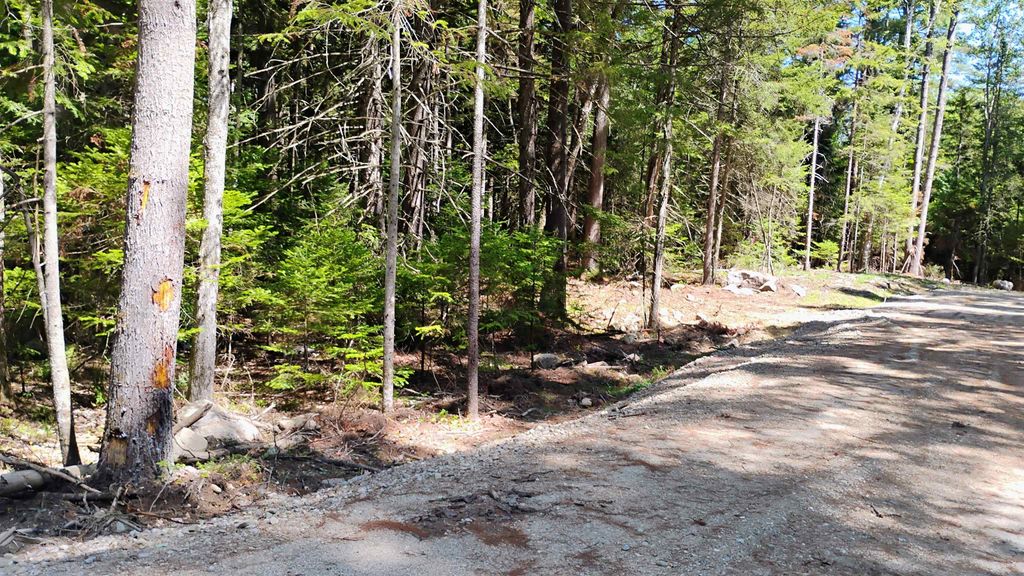 Photo of 2 NH Route 4A, Grafton, NH 03240 (MLS # 5056835)
