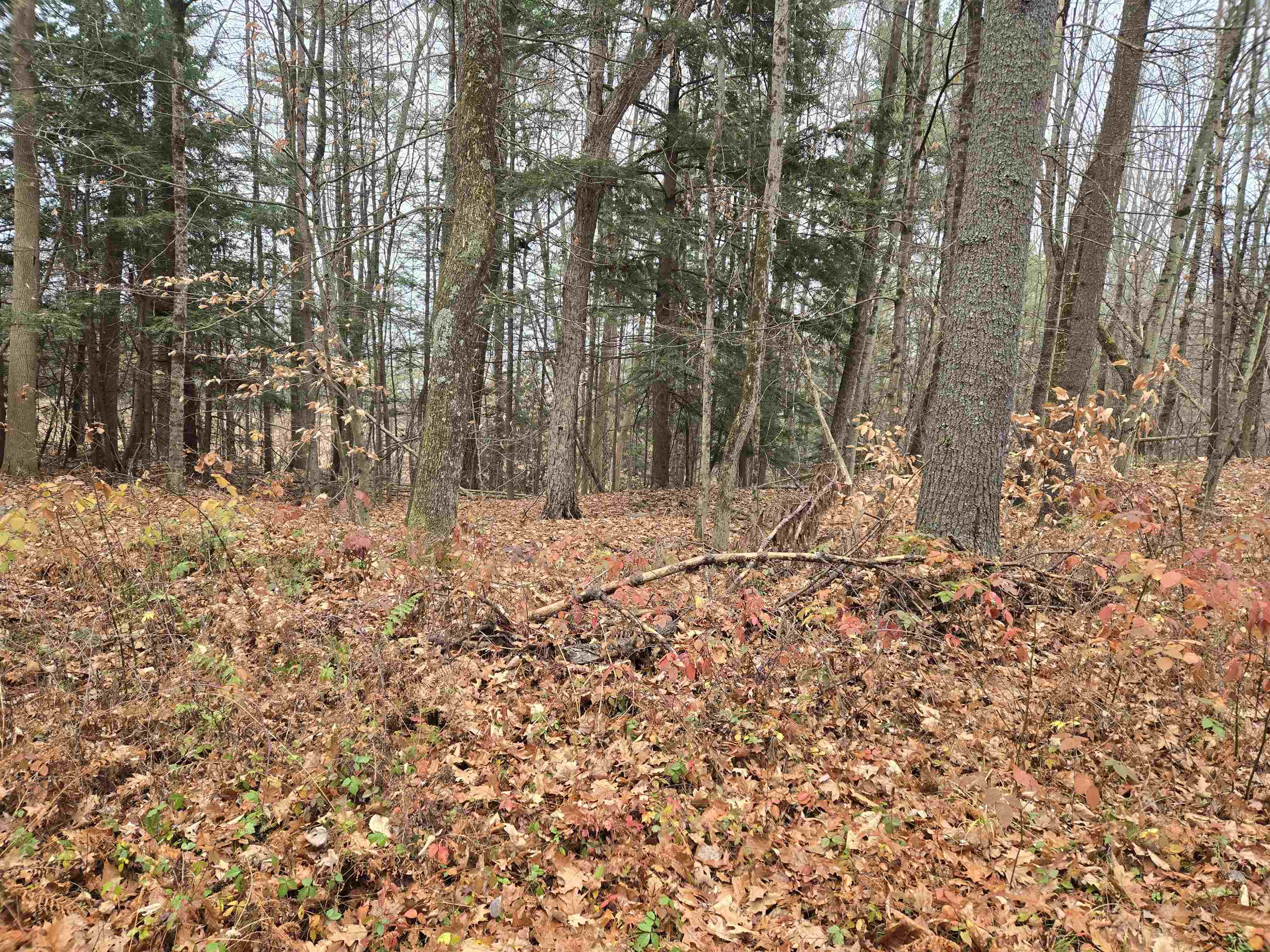 Lot 09-195-003 Winsor Drive