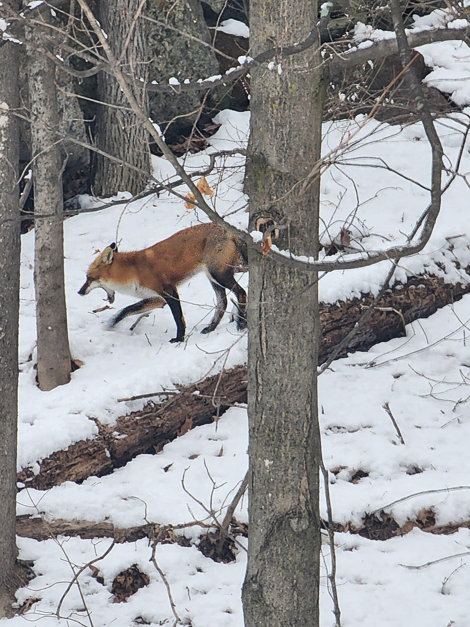 Milford, New Hampshire 03055, United States, 3 Bedrooms Bedrooms, ,3 BathroomsBathrooms,Residential,Active,96791