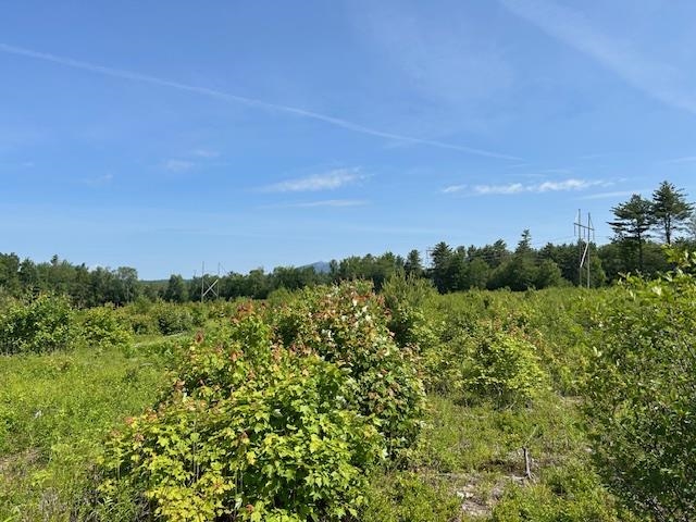 310 NH Route 119