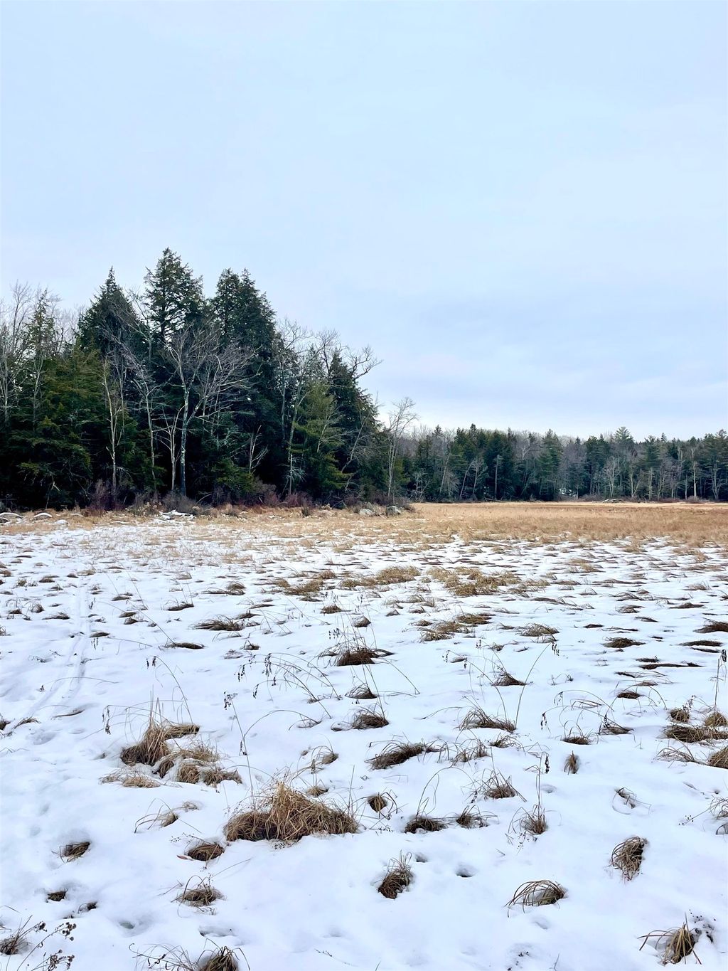 Photo of 332 Gleason Falls Road #Map 5 lot 87 and map, Hillsborough, NH 03244 (MLS # 5073744)