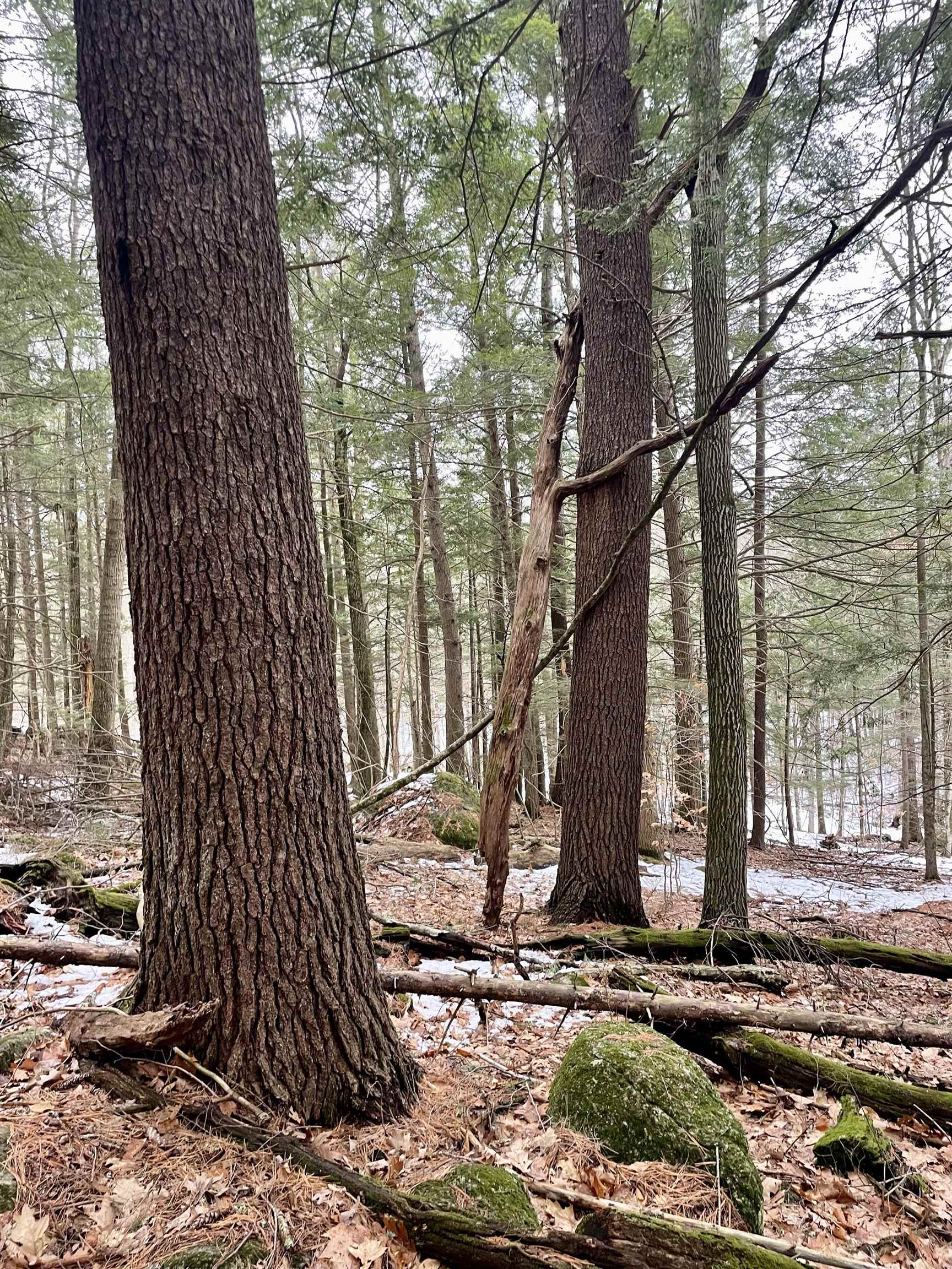 332 Gleason Falls Road Map 5 lot 87 and map 8 lot 146