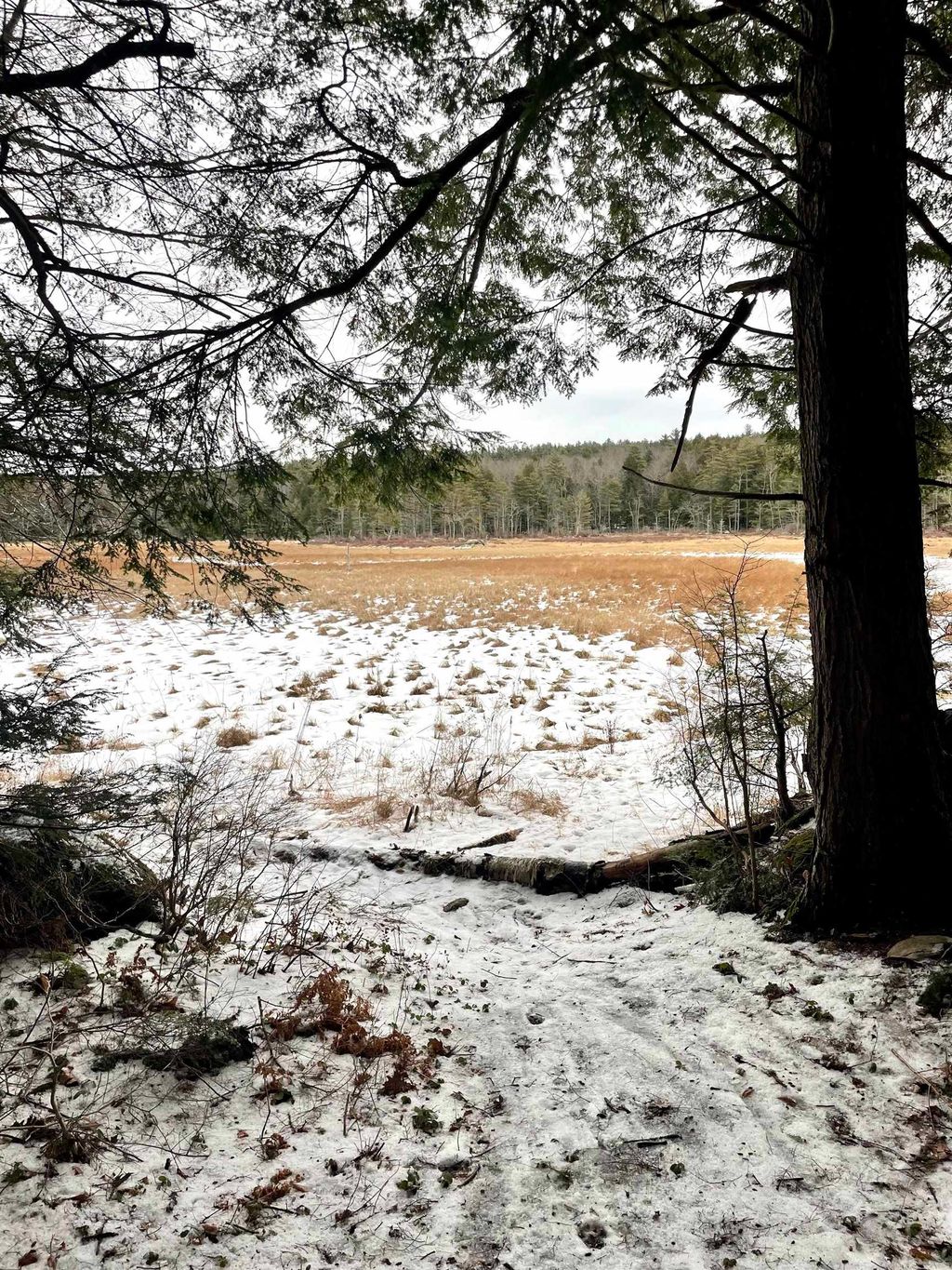 Photo of 332 Gleason Falls Road #Map 5 lot 87 and map, Hillsborough, NH 03244 (MLS # 5073744)