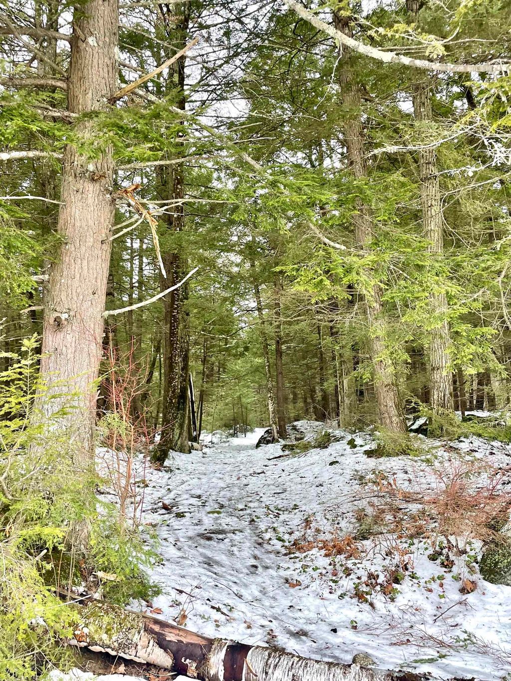 Photo of 332 Gleason Falls Road #Map 5 lot 87 and map, Hillsborough, NH 03244 (MLS # 5073744)