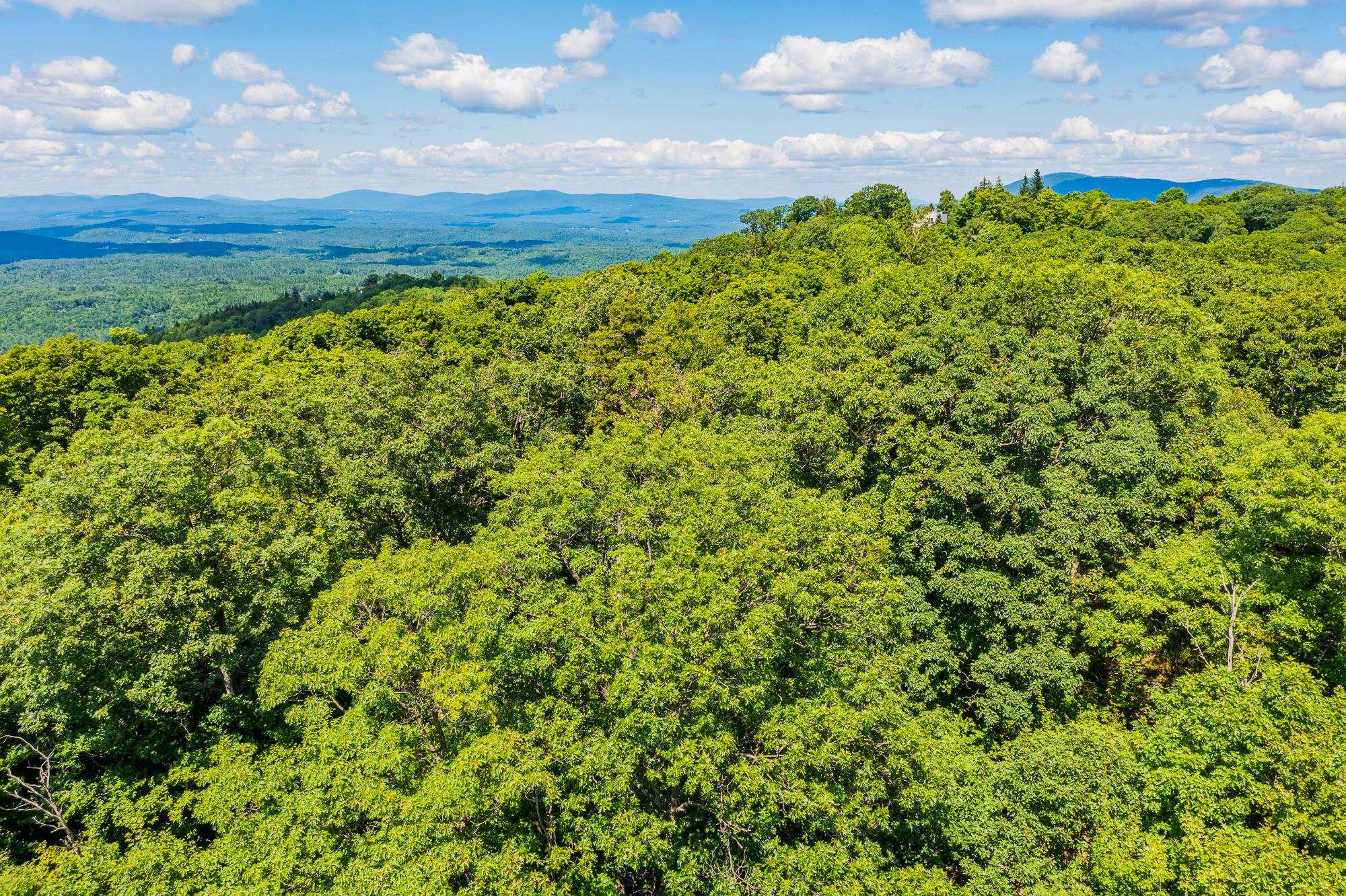 4.1 Pearl Buck Drive