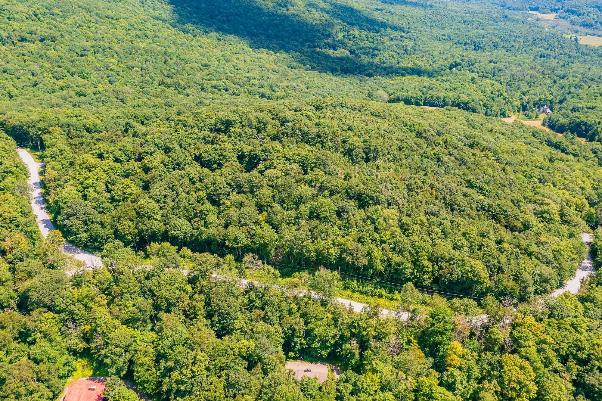 4.1 Pearl Buck Drive