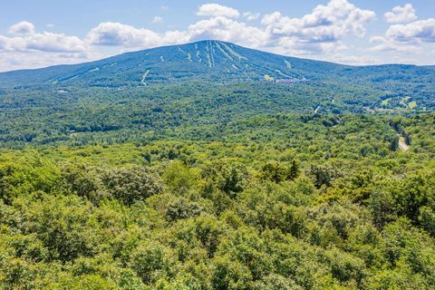 4.1 Pearl Buck Drive Winhall VT 05340