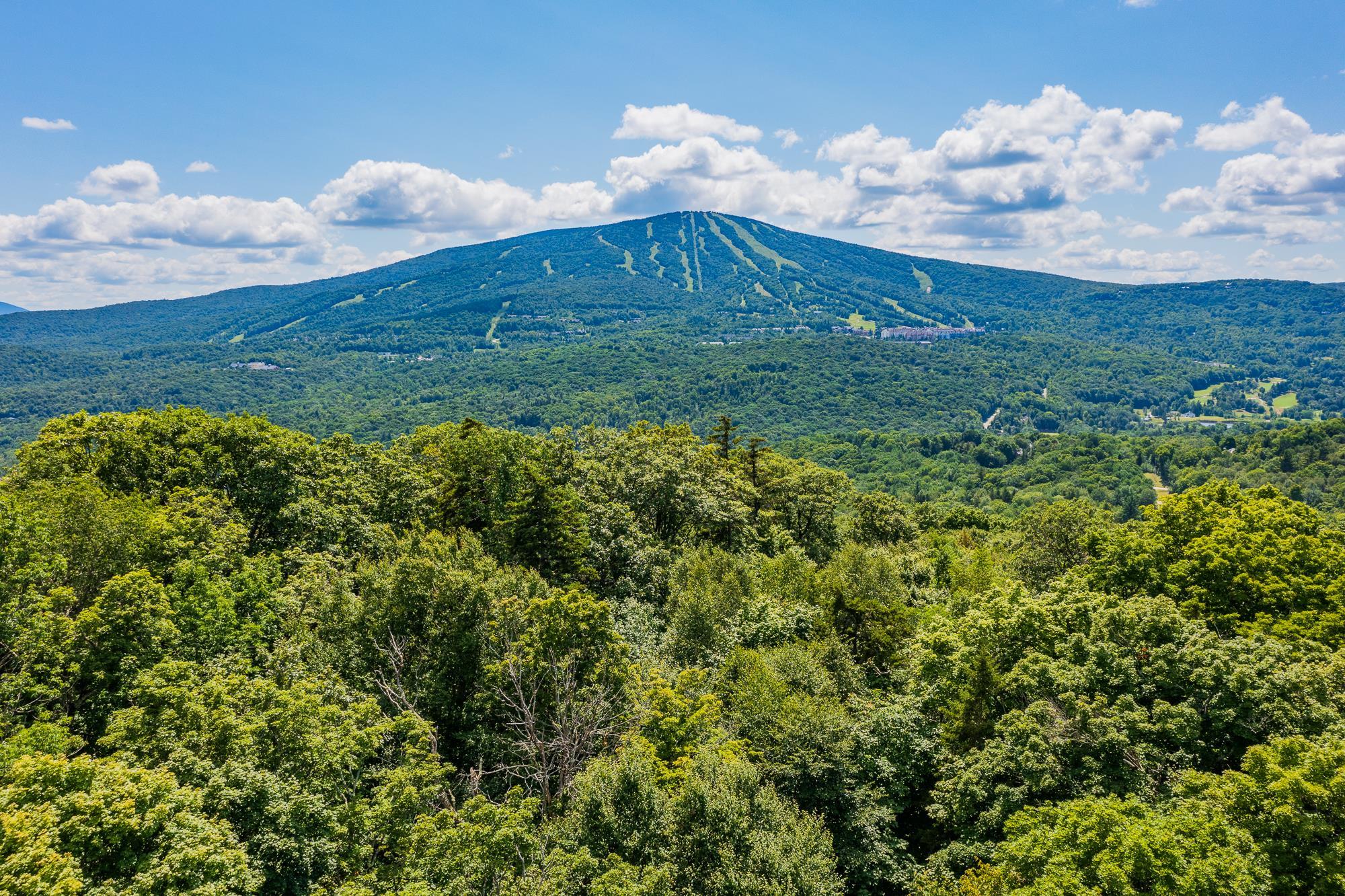 4.1 Pearl Buck Drive