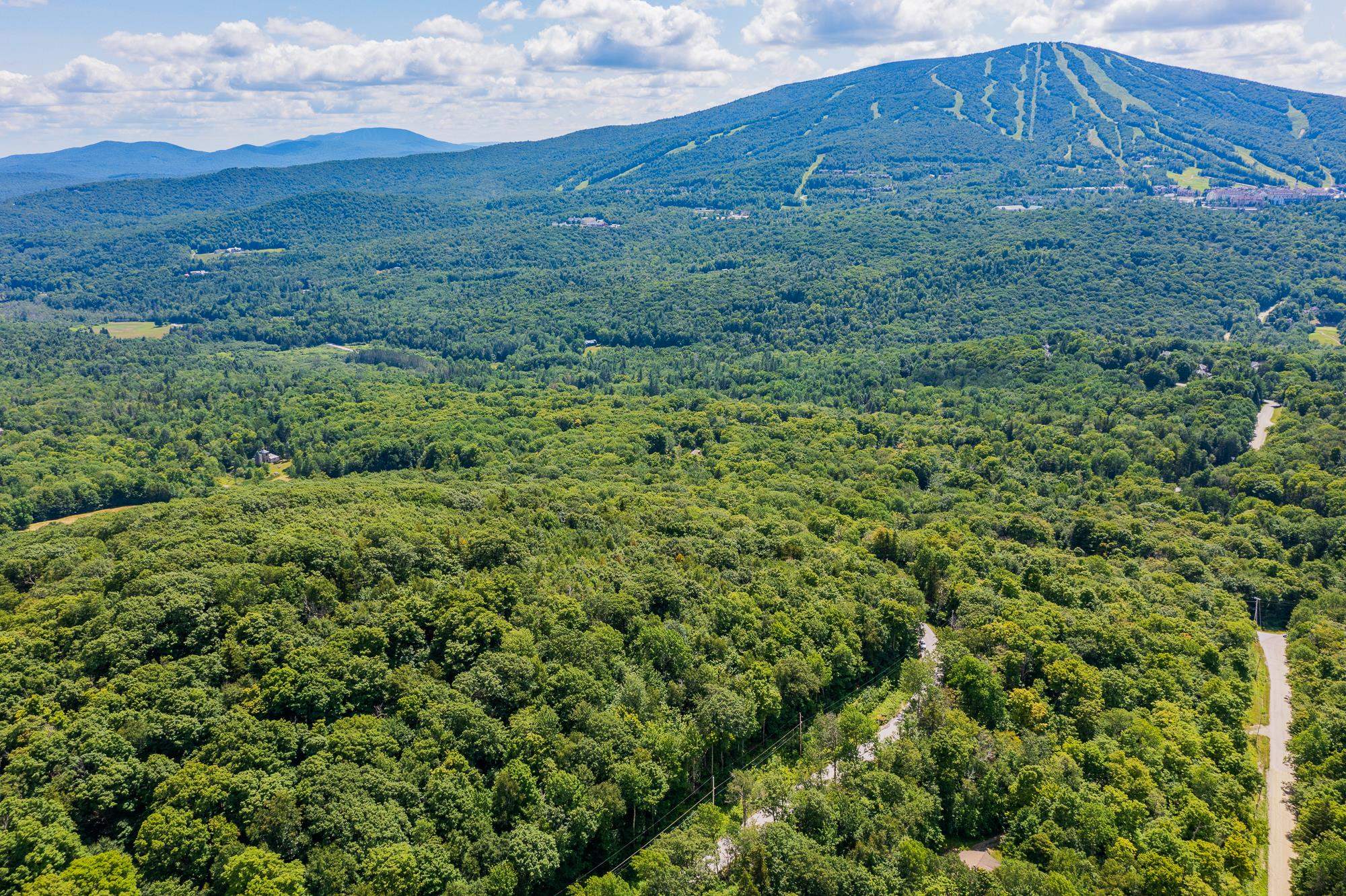 4.1 Pearl Buck Drive