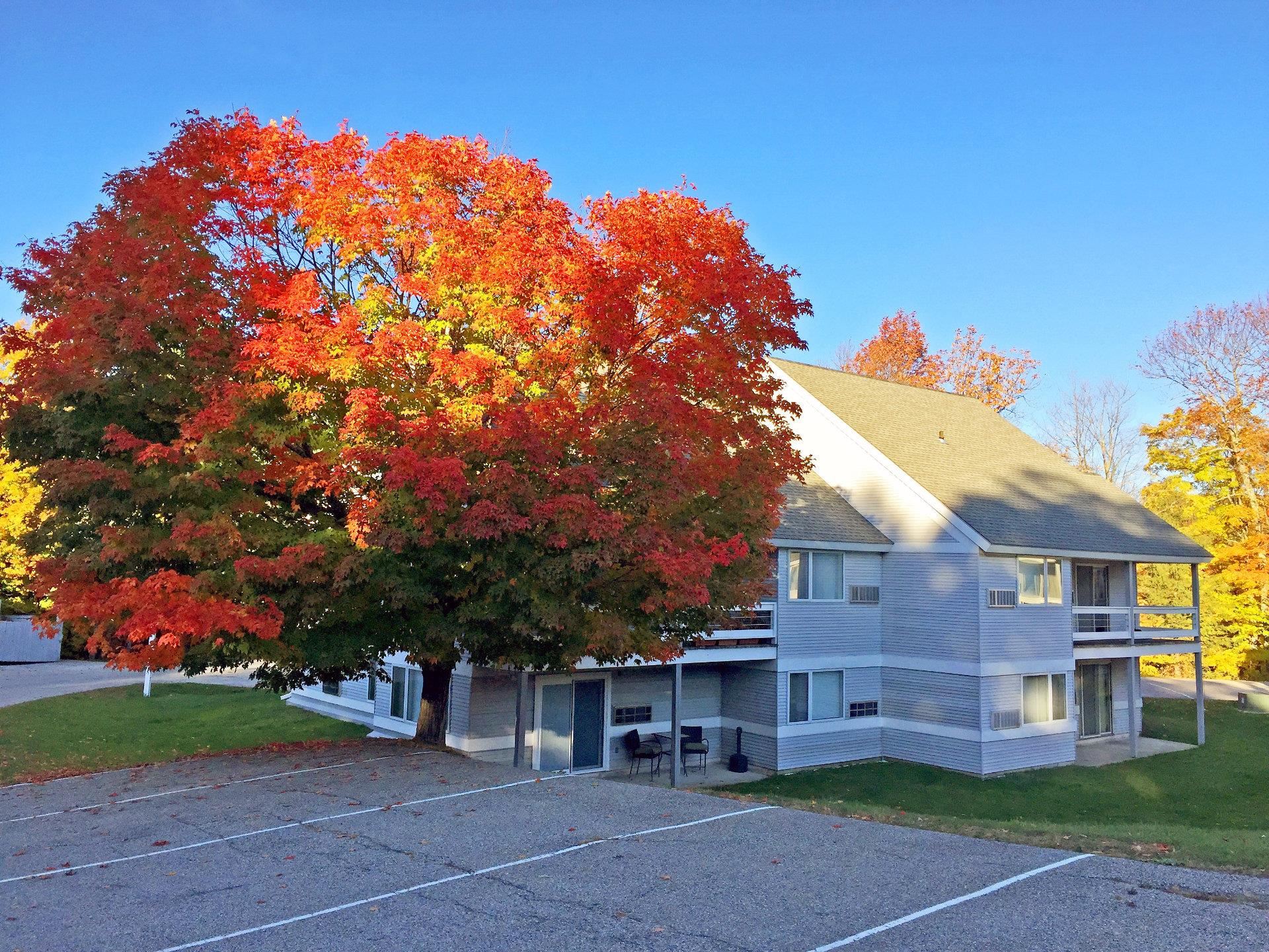 160 Killington Center Drive 612 and 613