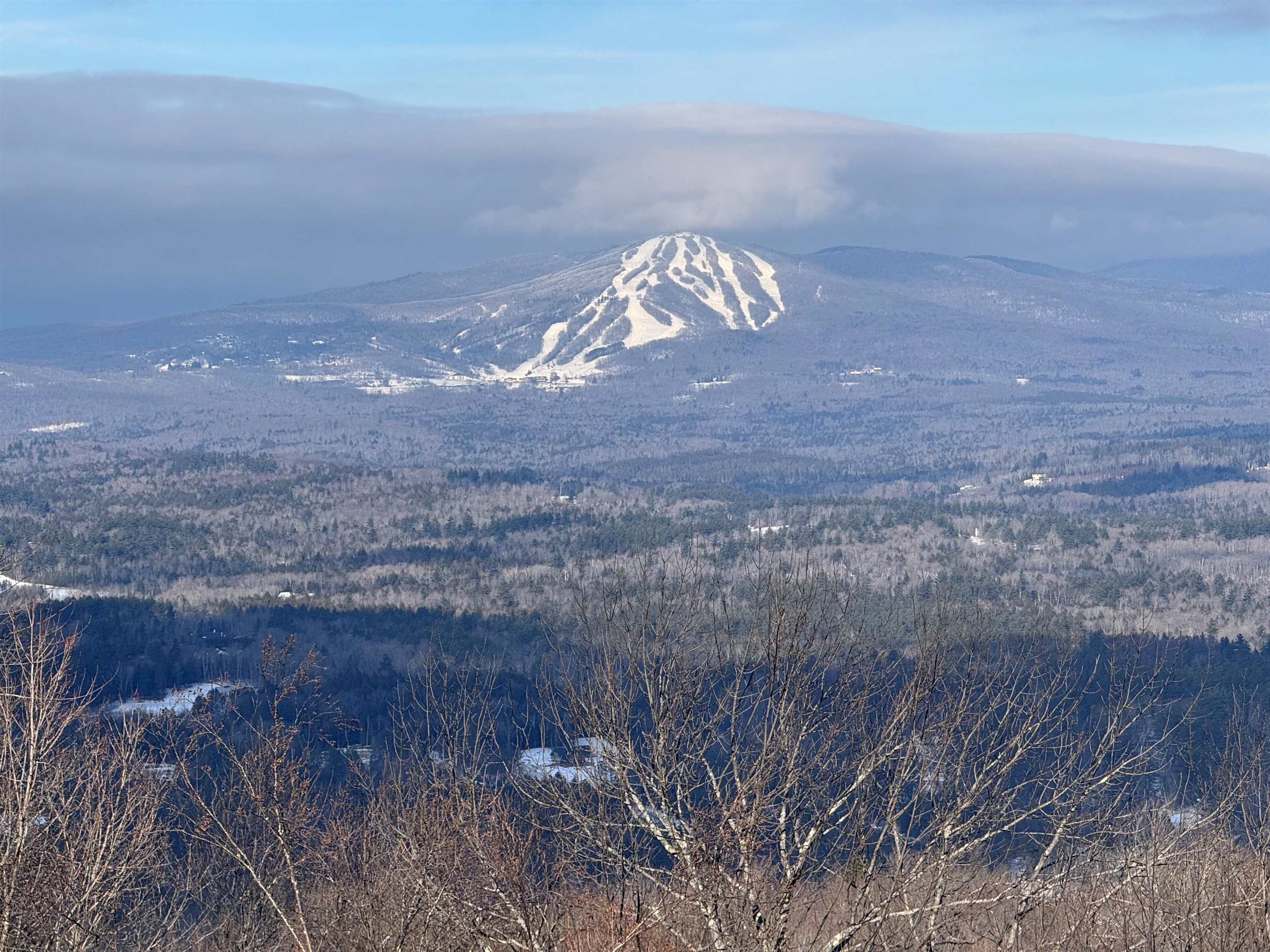 57 Pearl Buck Drive 33