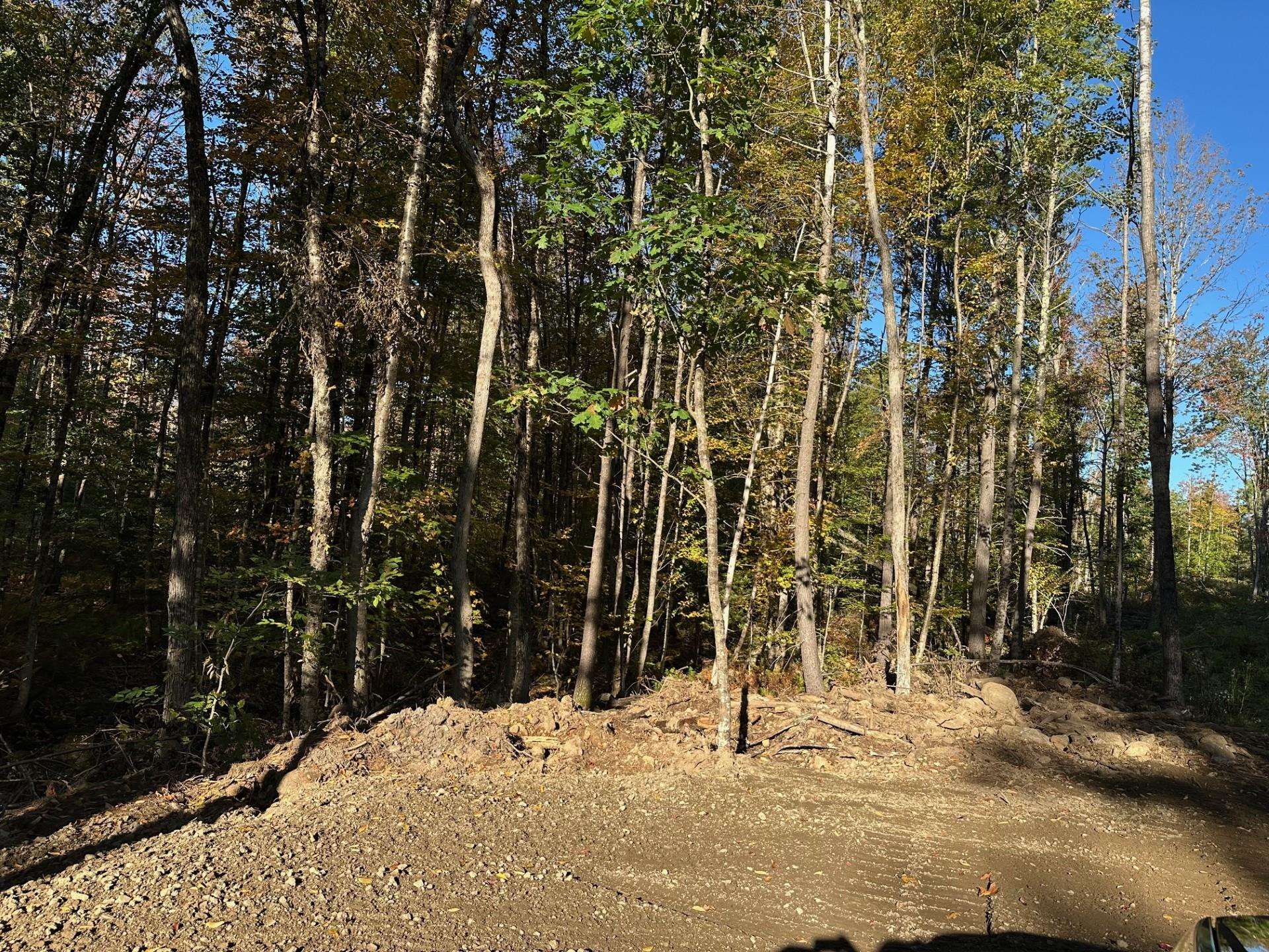 00 Pinkham Road 11-10