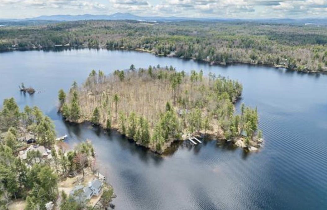 65.4 Gansy Island