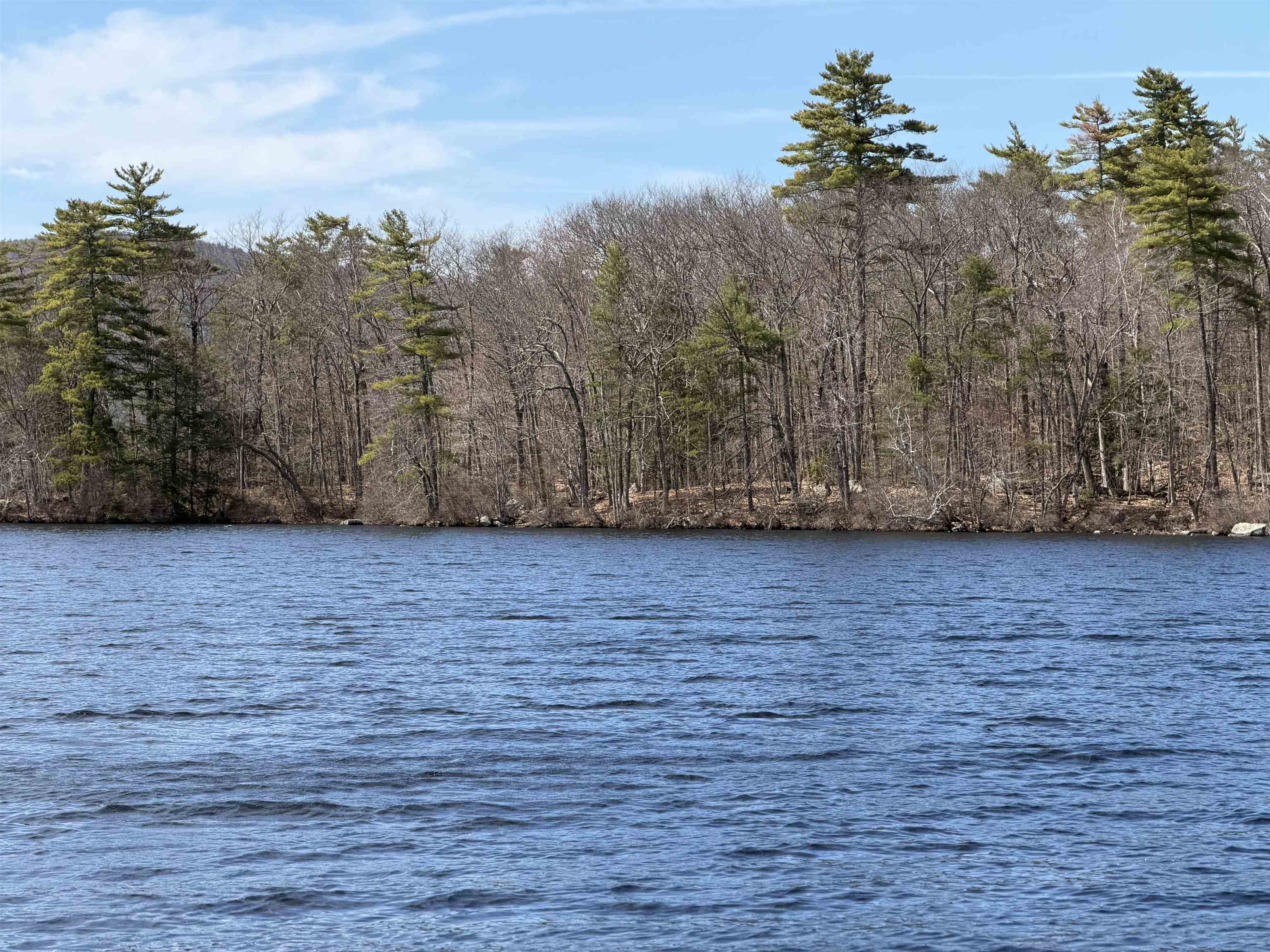 65.4 Gansy Island