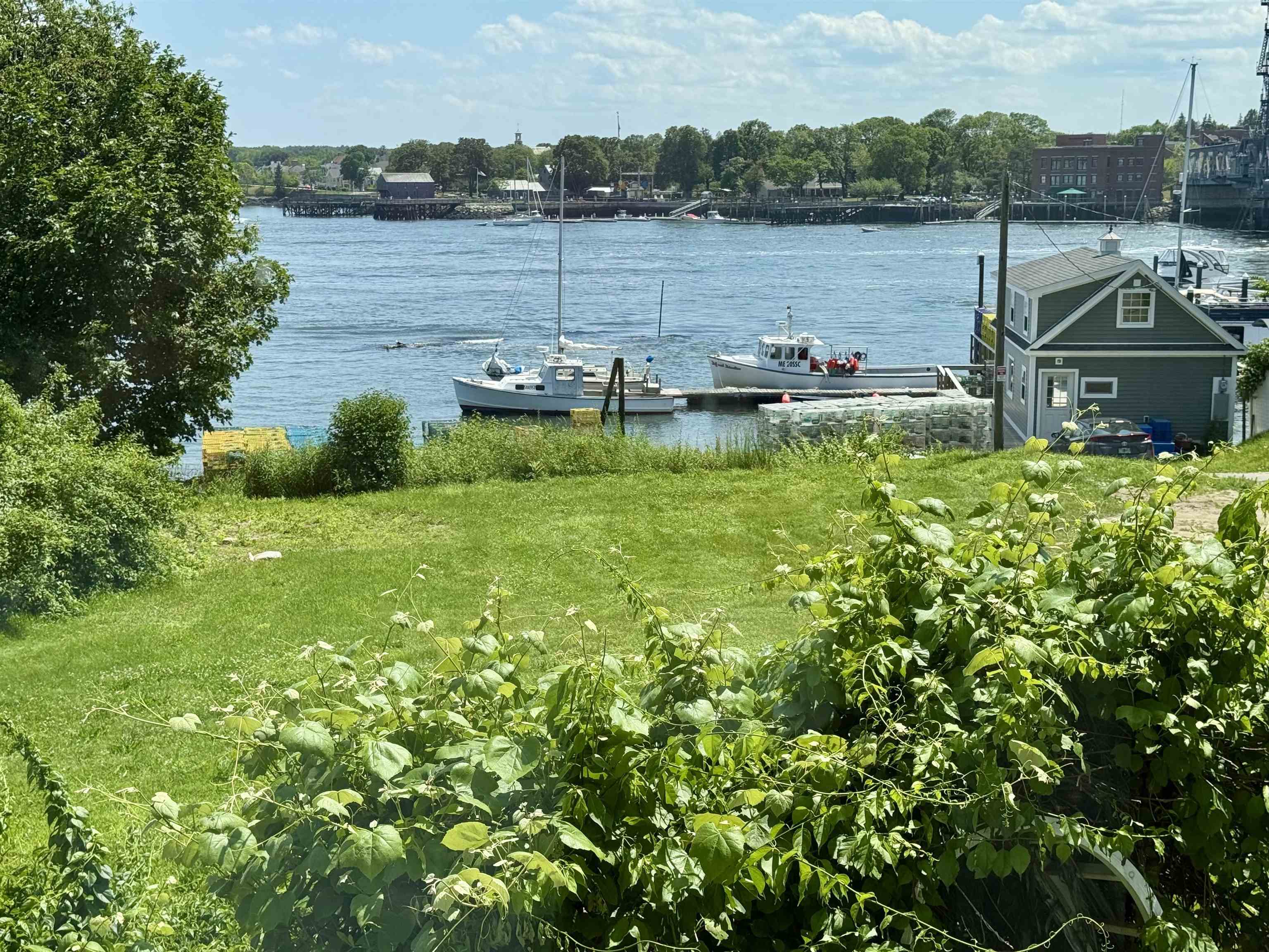 10 Island Avenue 17A
