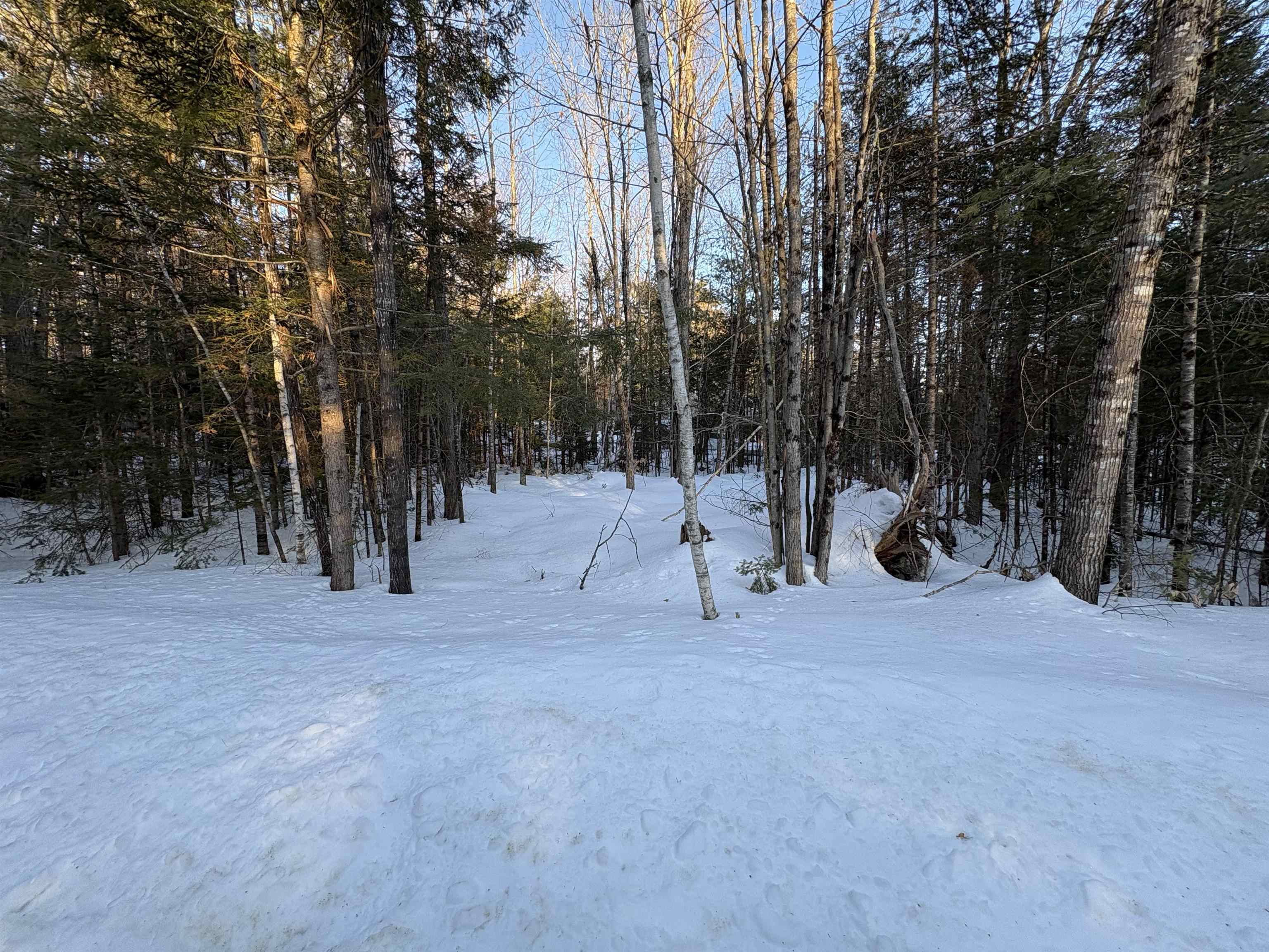 37446 North Shore/Washington Drive