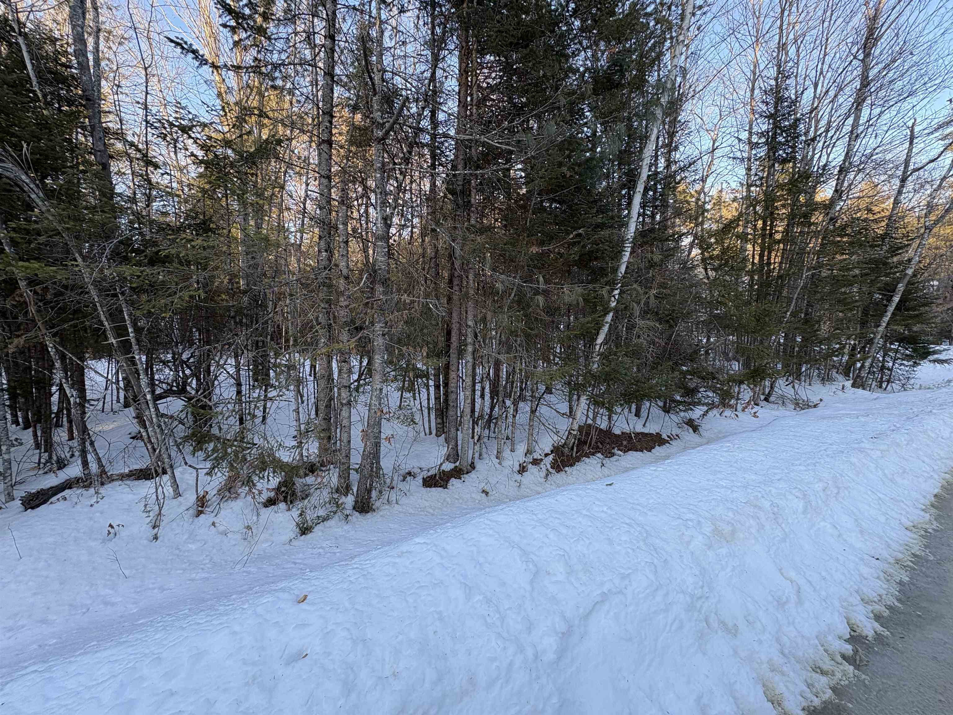 37446 North Shore/Washington Drive