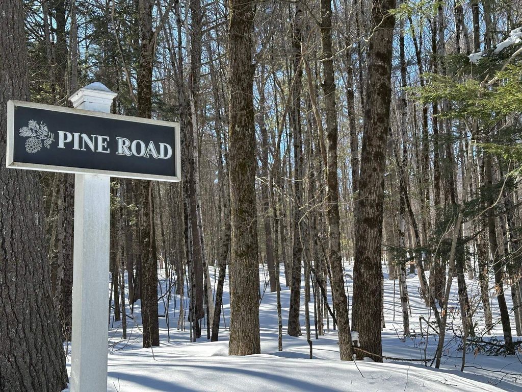 Photo of 39 Pine Road, Fitzwilliam, NH 03447 (MLS # 5077766)