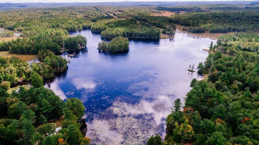 Photo of 39 Pine Road, Fitzwilliam, NH 03447 (MLS # 5077766)