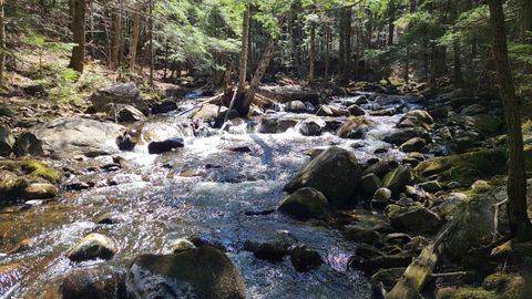 11 Claybrook Drive Plymouth NH 03264