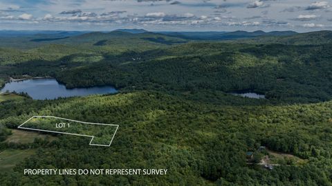 lot 1 Youngs Road Lot 1 Eaton NH 03832