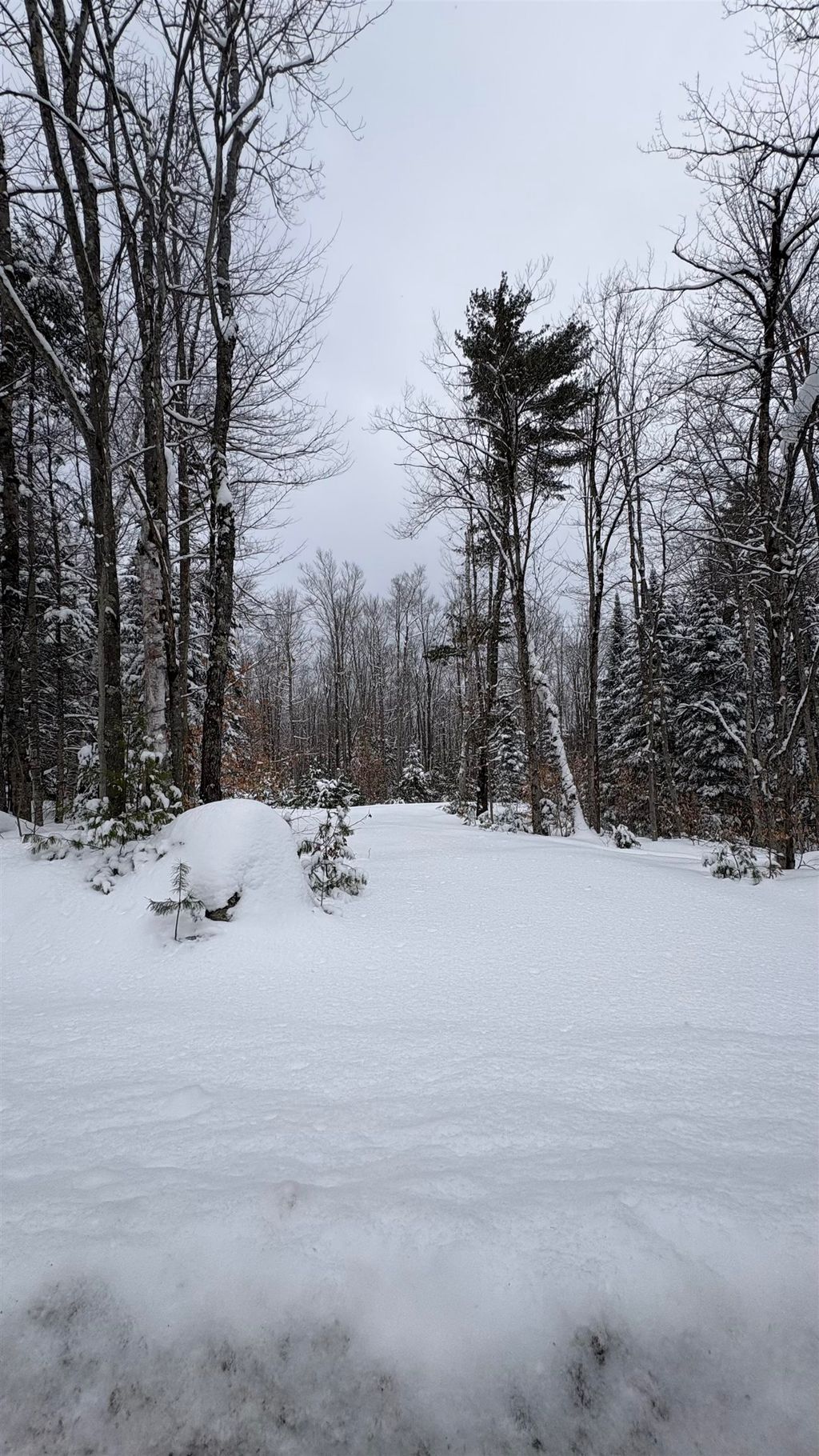 Photo of 961 Maple Street, Bethlehem, NH 03574 (MLS # 5047209)