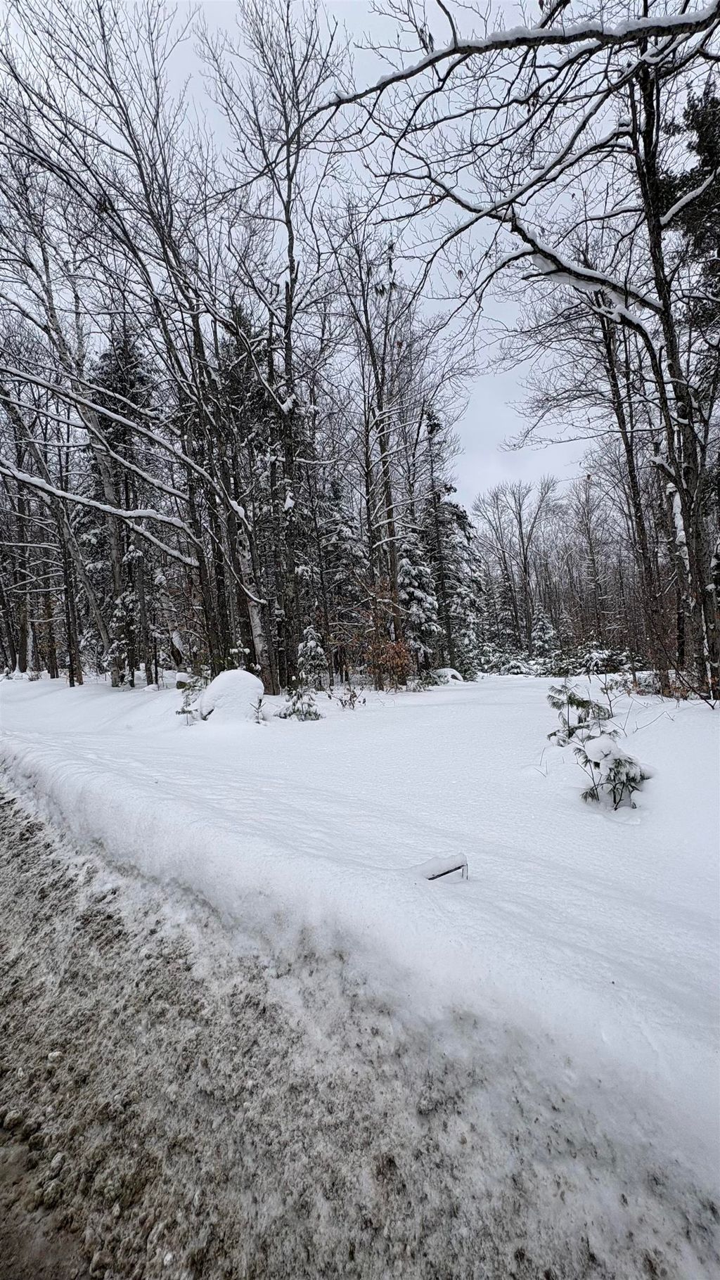 Photo of 961 Maple Street, Bethlehem, NH 03574 (MLS # 5047209)