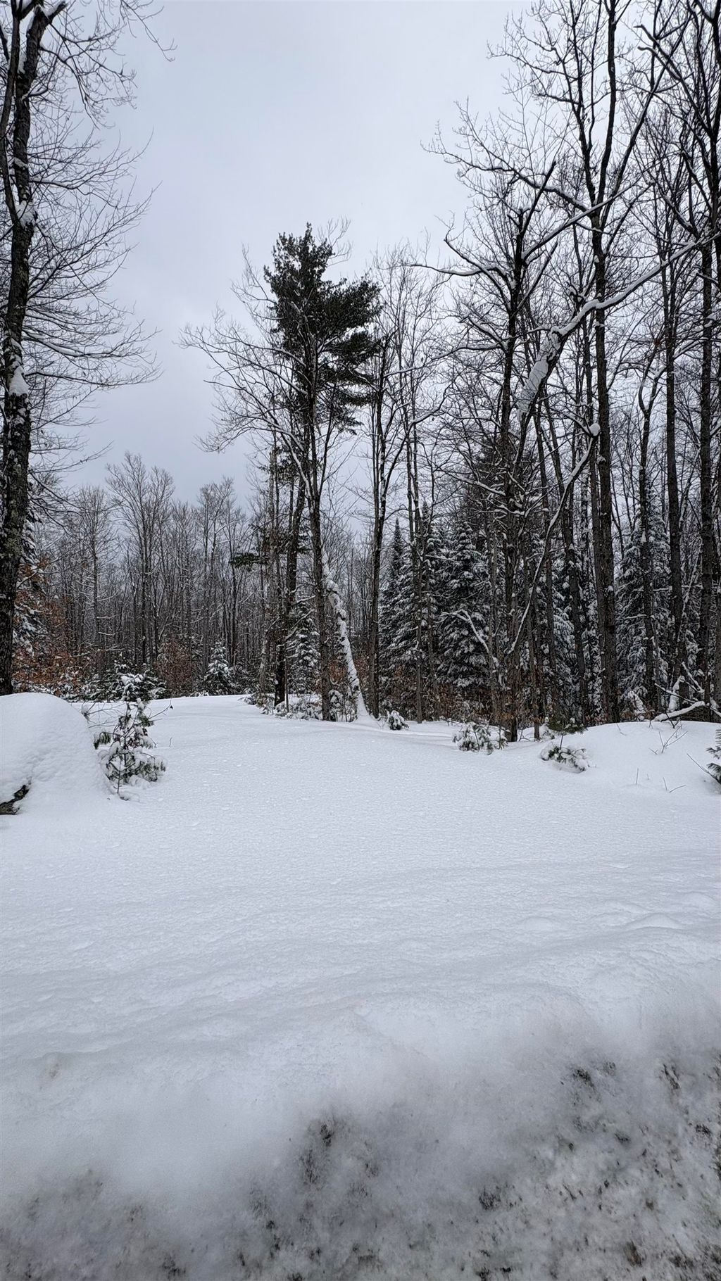 Photo of 961 Maple Street, Bethlehem, NH 03574 (MLS # 5047209)