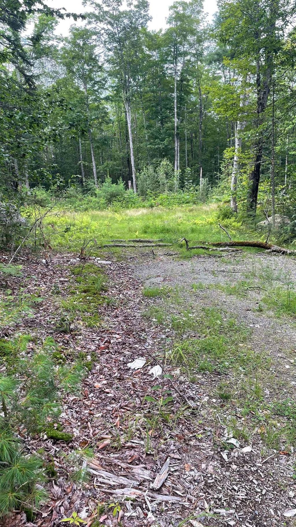 Photo of 961 Maple Street, Bethlehem, NH 03574 (MLS # 5047209)