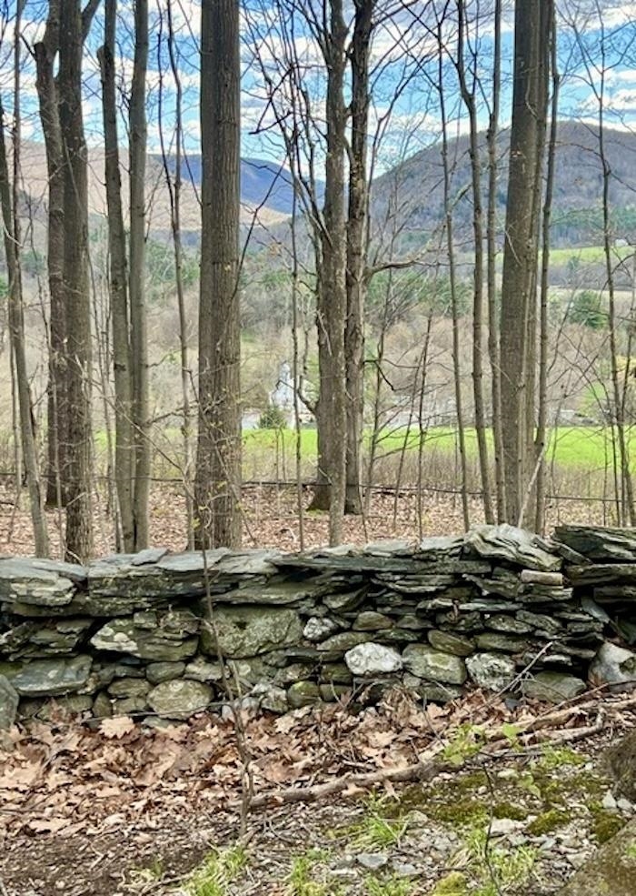 00 Spruce Knob Road Lot 1