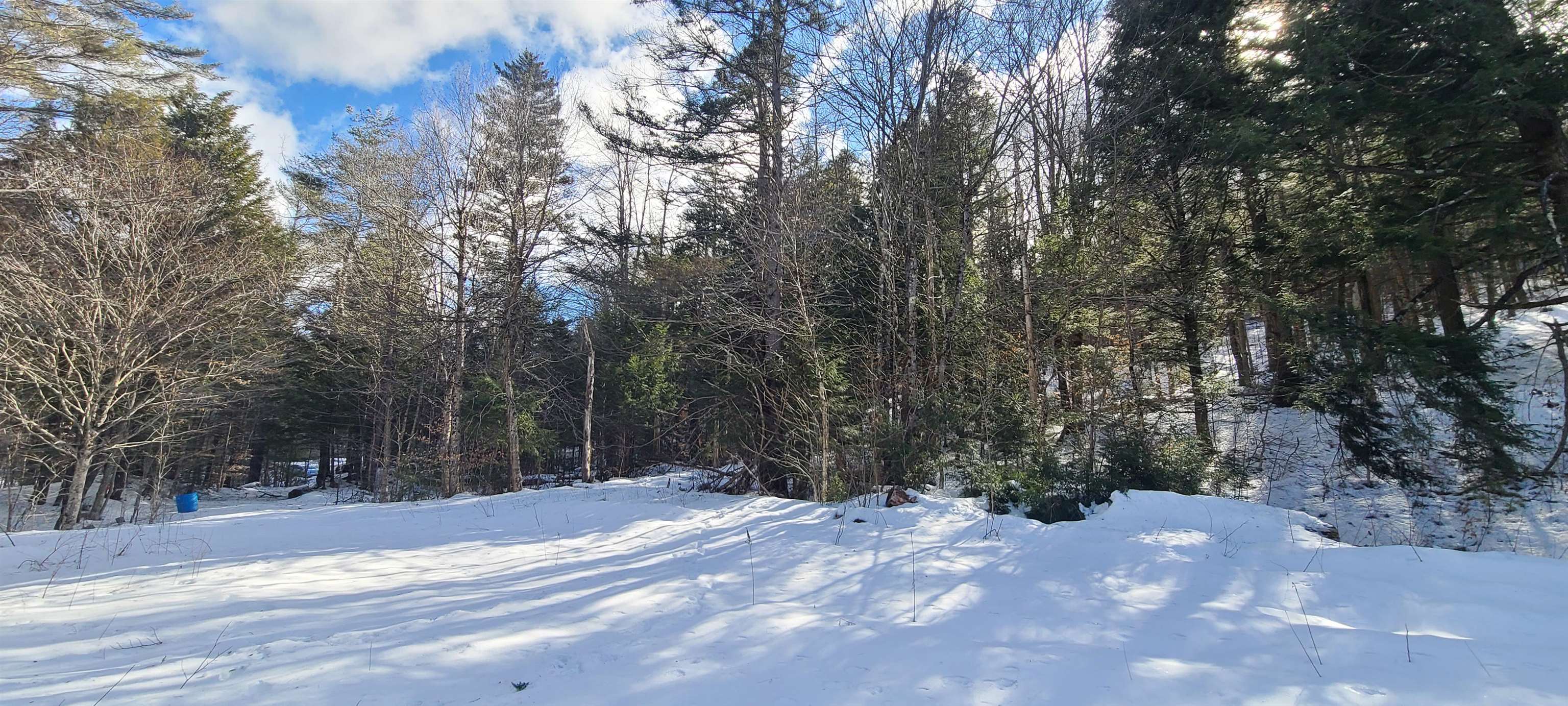 8559 VT Route 30 Lots 2 & 3