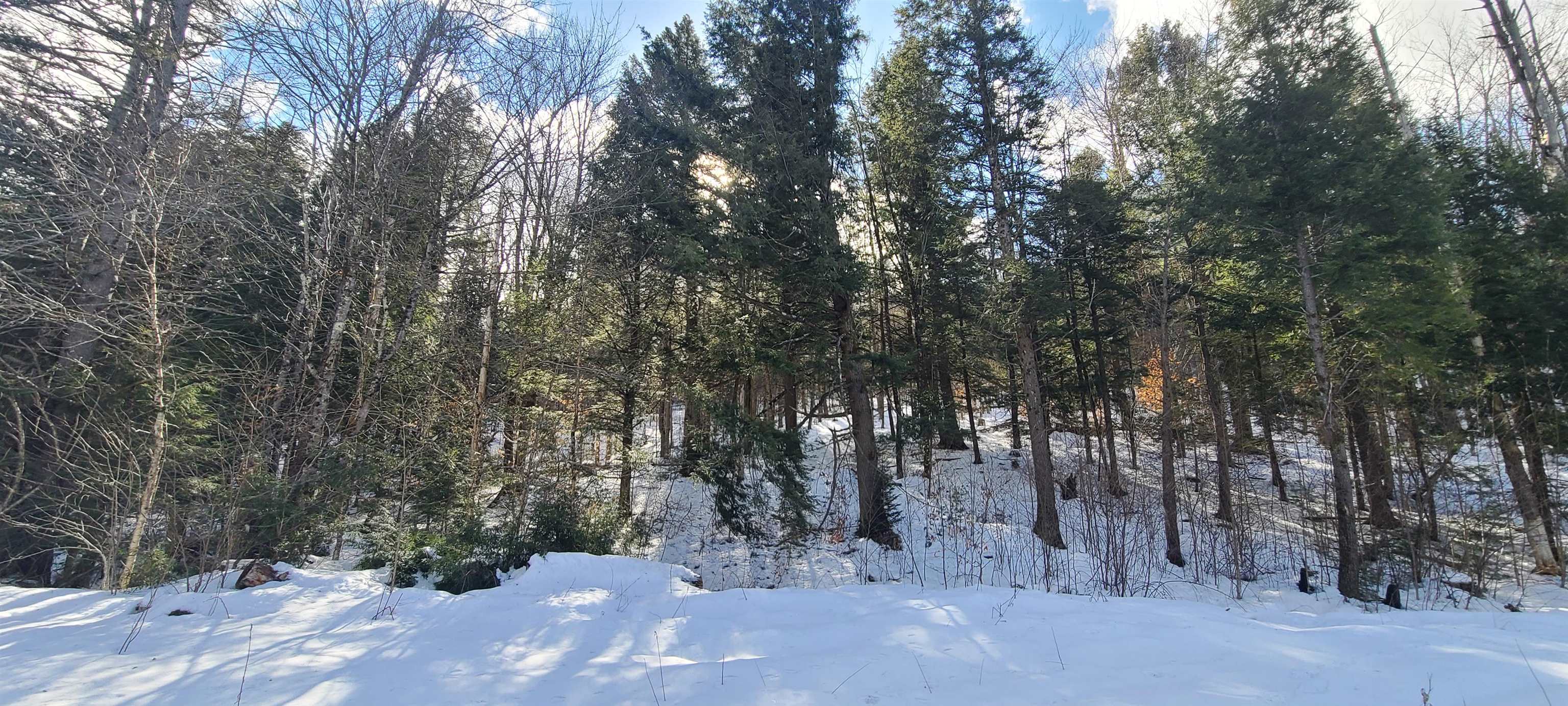 8559 VT Route 30 Lots 2 & 3