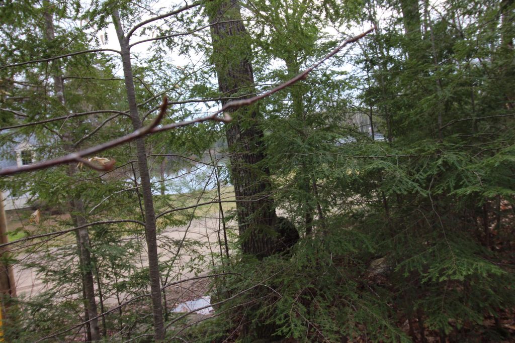 Photo of 1917 Northeast Pond Road #19-17, Milton, NH 03851 (MLS # 5036938)