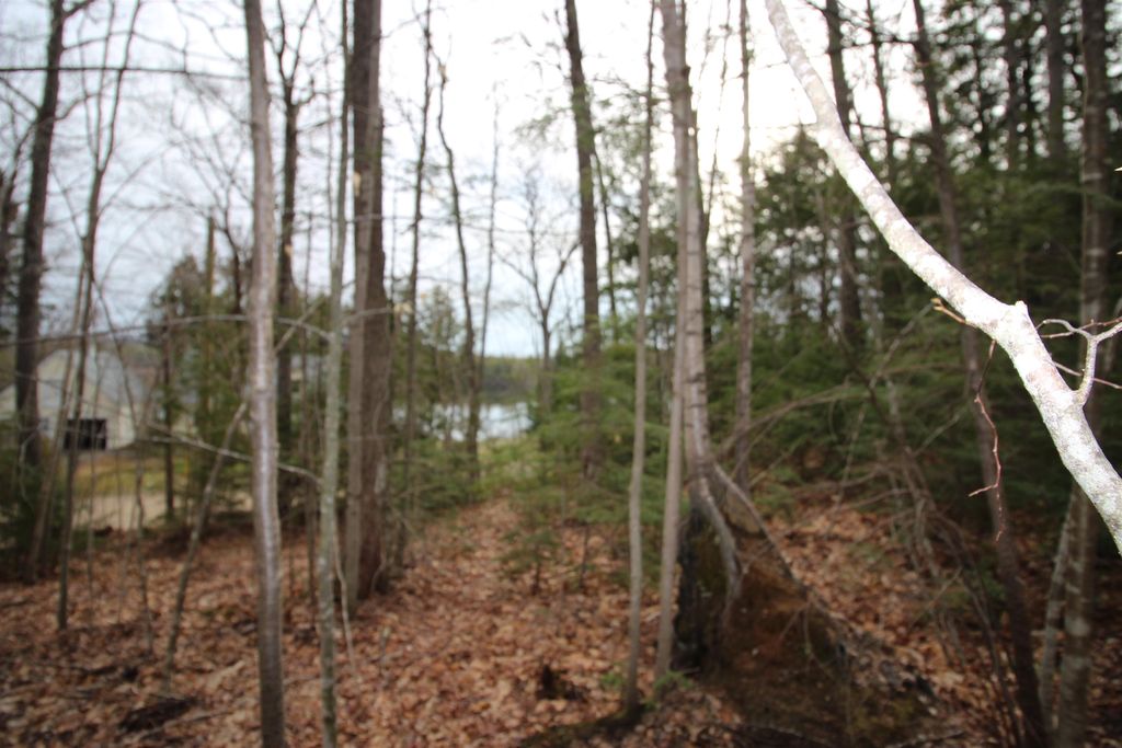 Photo of 1917 Northeast Pond Road #19-17, Milton, NH 03851 (MLS # 5036938)