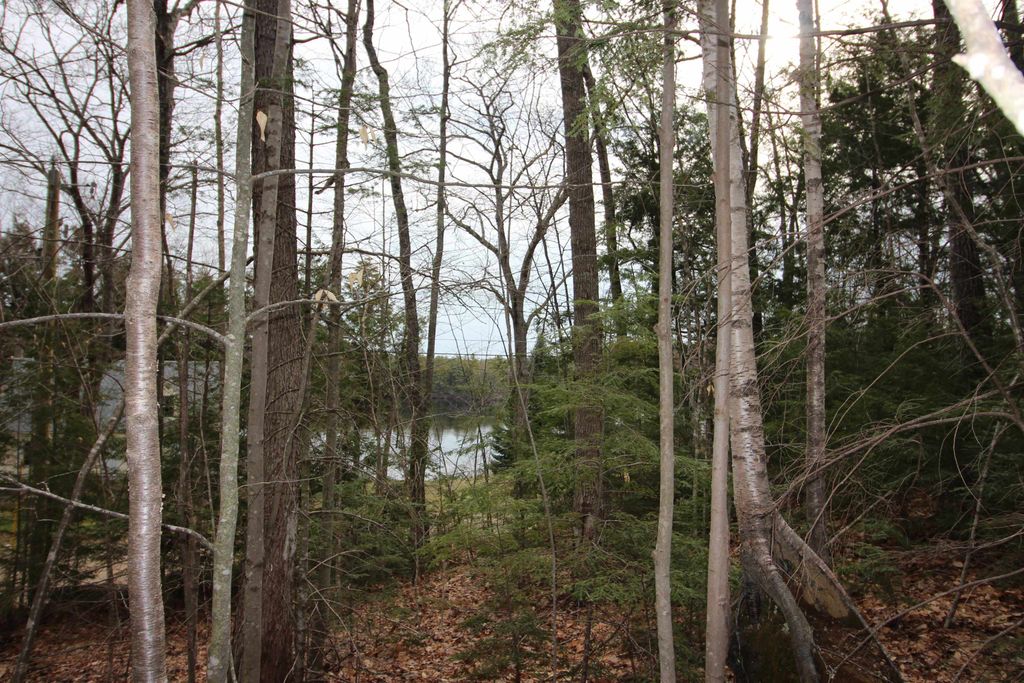 Photo of 1917 Northeast Pond Road #19-17, Milton, NH 03851 (MLS # 5036938)