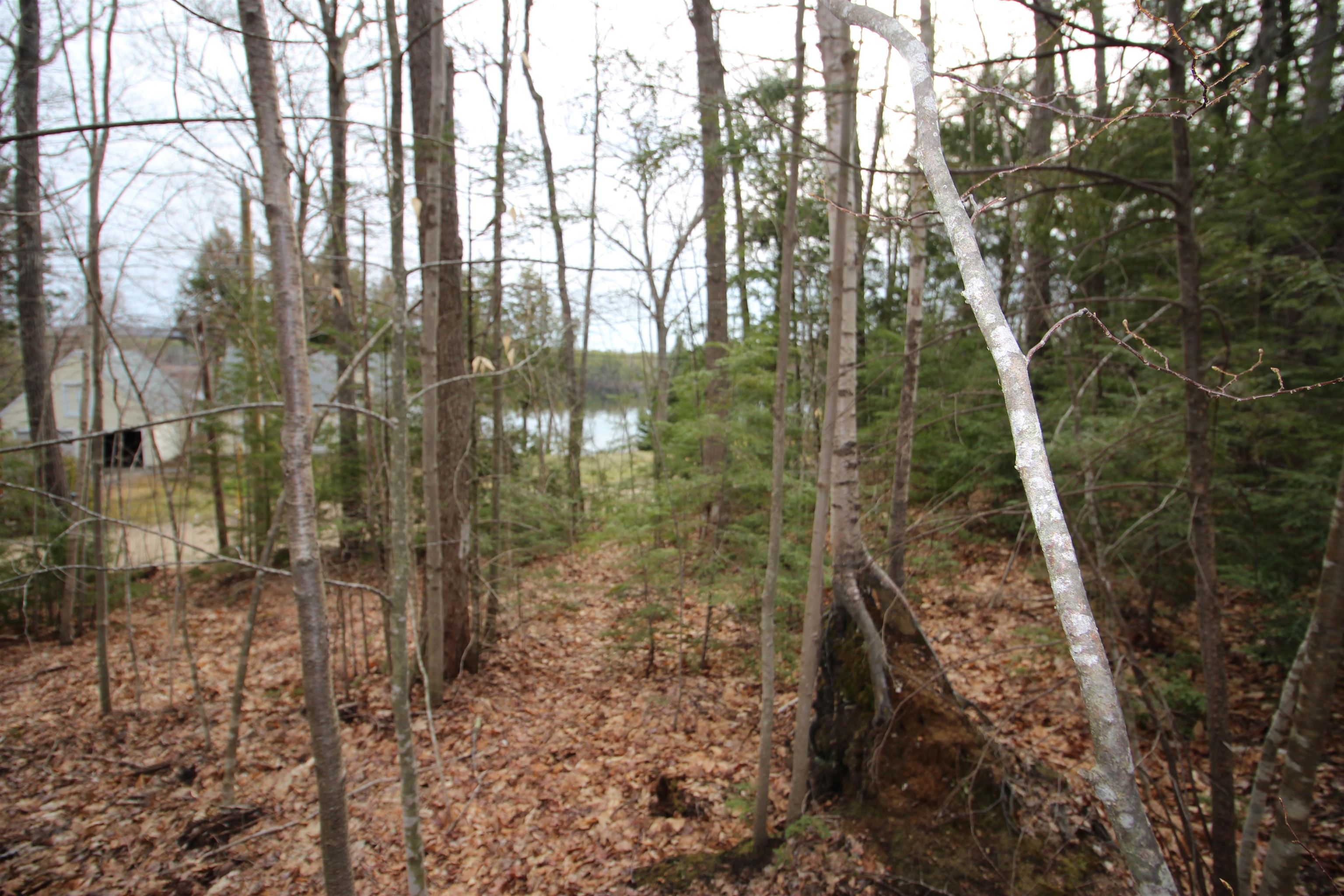 Lot 19-17 Northeast Pond Road 19-17