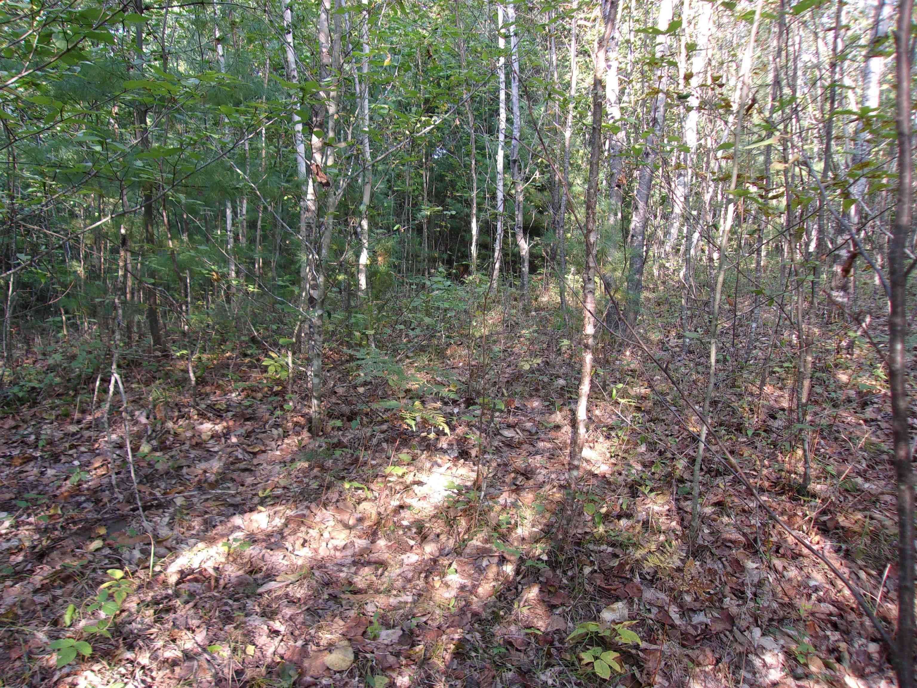 Fenn Way Circle 7