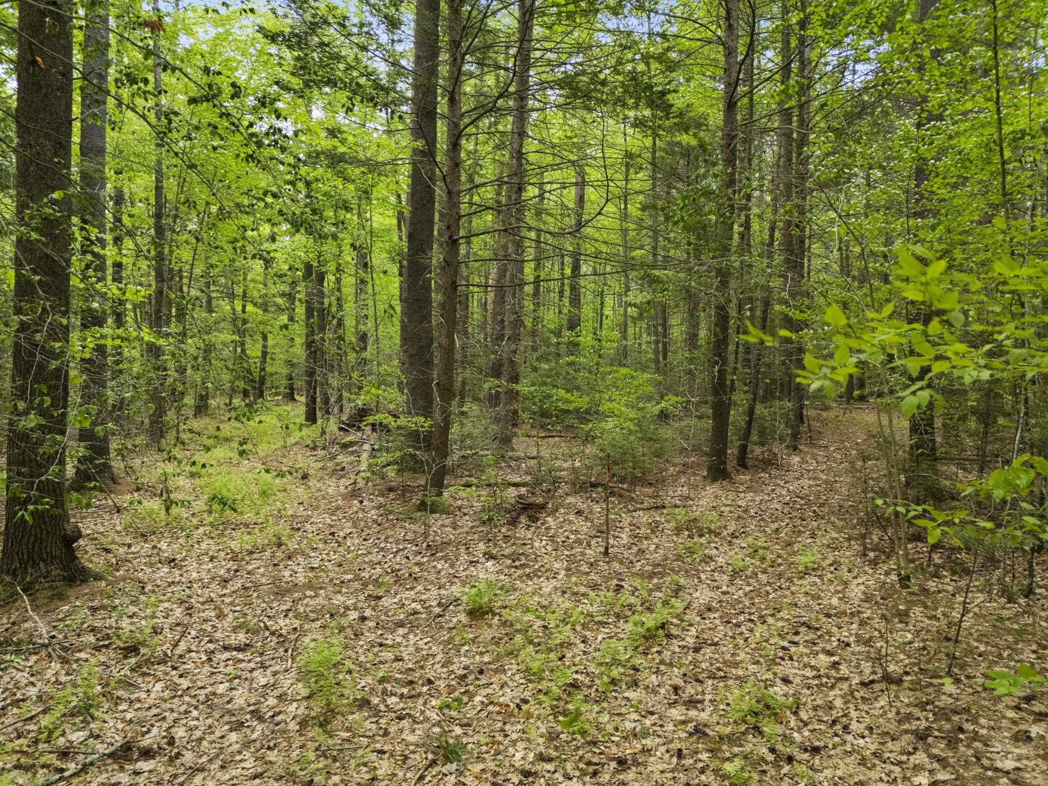 204 North Haverhill Road