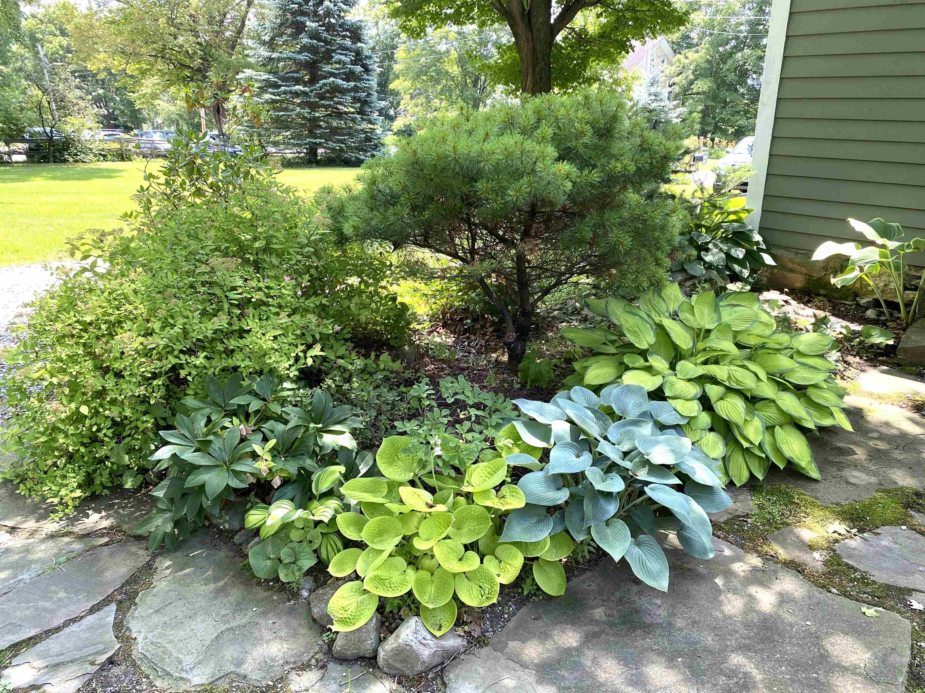 Salisbury, Vermont 05769, United States, 3 Bedrooms Bedrooms, ,2 BathroomsBathrooms,Residential,Active,170203