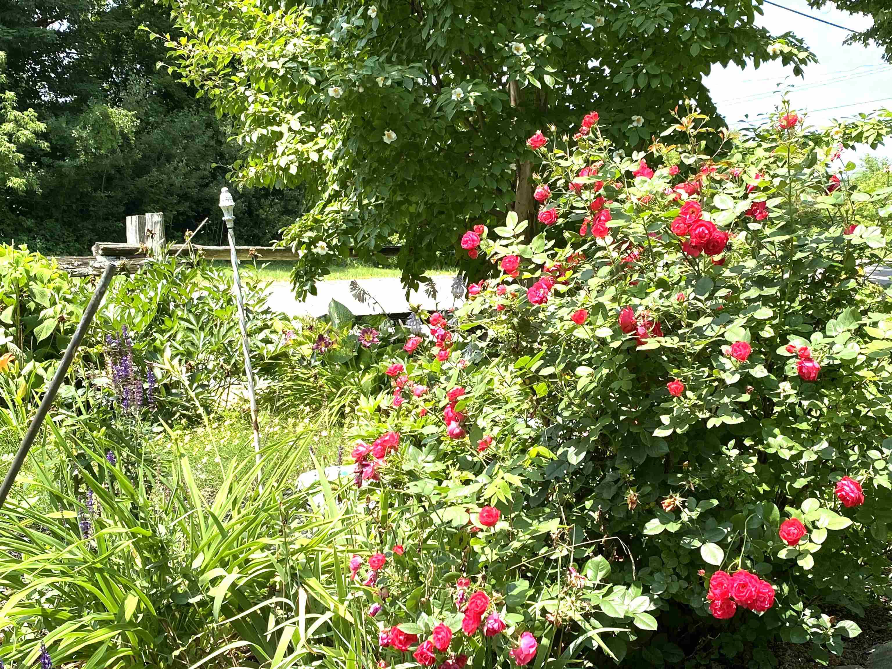 Salisbury, Vermont 05769, United States, 3 Bedrooms Bedrooms, ,2 BathroomsBathrooms,Residential,Active,170203